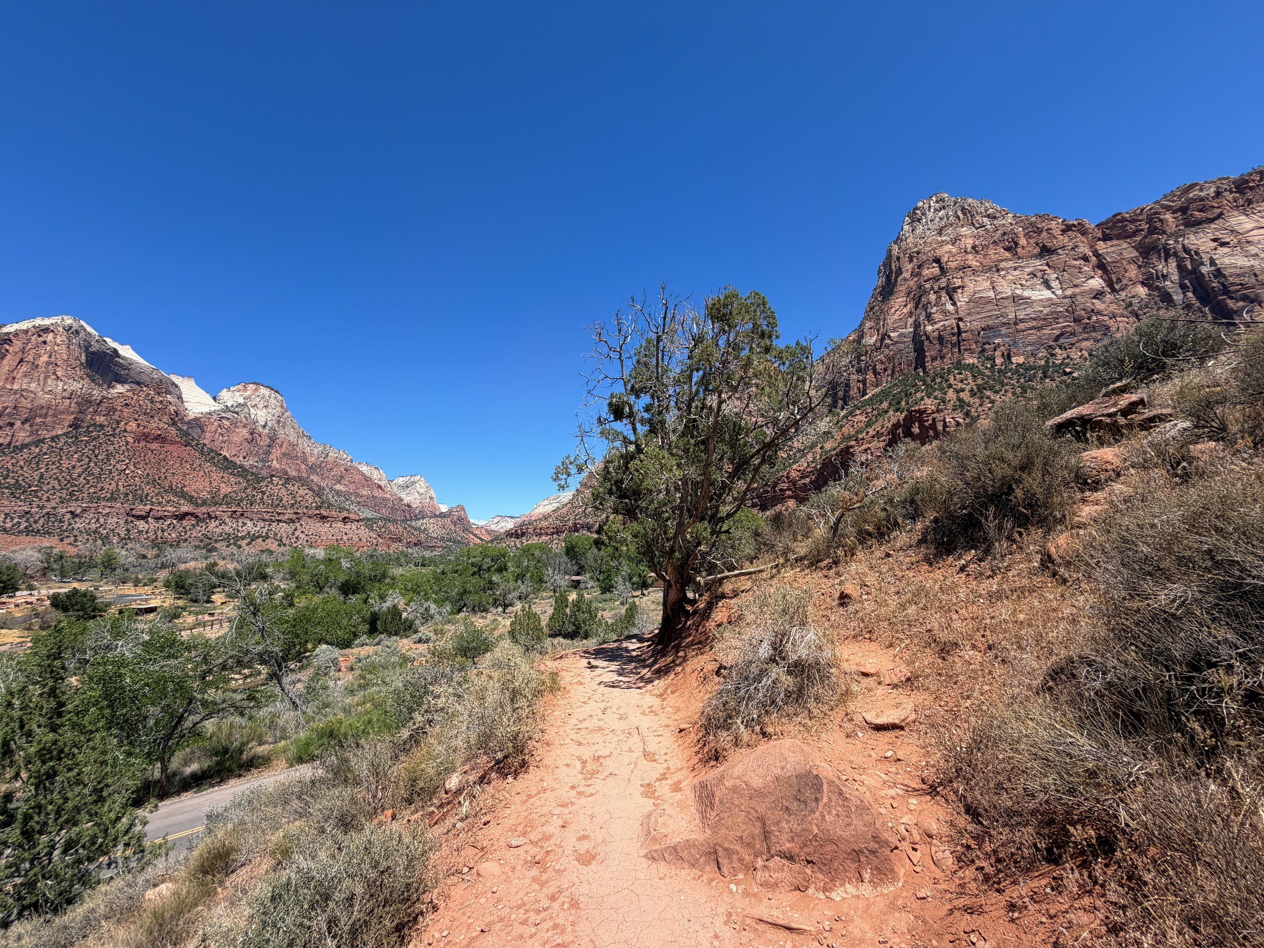 Watchman Trail Zion National Park Utah