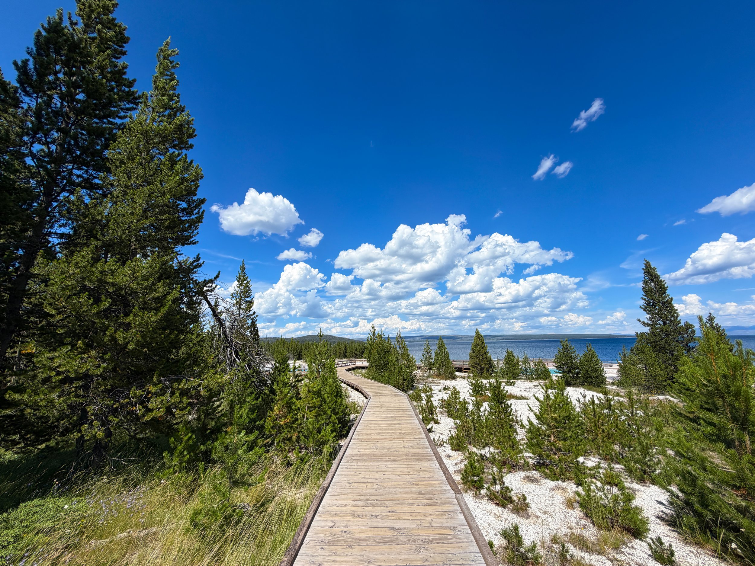 West Thumb Geyser Basin Trail Yellowstone National Park Wyoming
