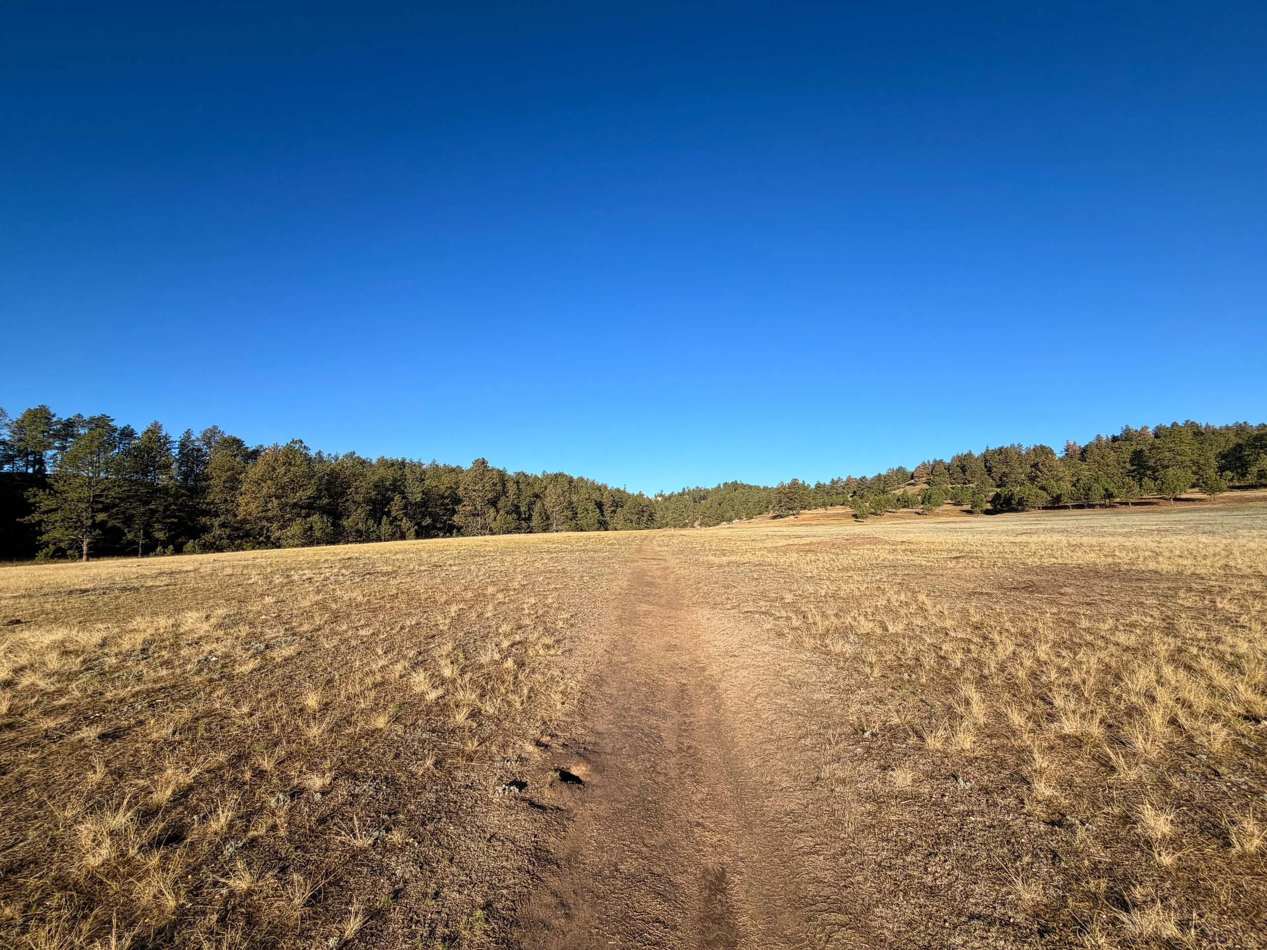 Cold Brook Canyon Hike Wind Cave National Park South Dakota