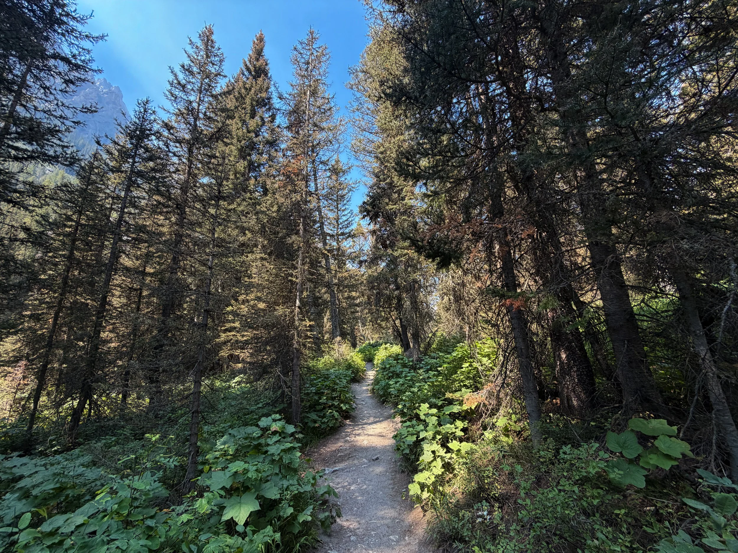 Cascade Canyon Hike Grand Teton National Park Wyoming