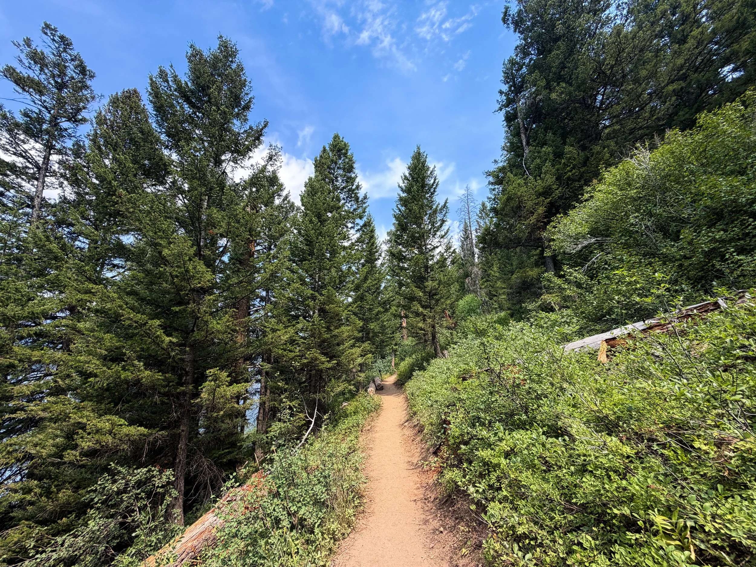 Phelps Lake Trail to Cliff Jumping Rock Grand Teton National Park Wyoming