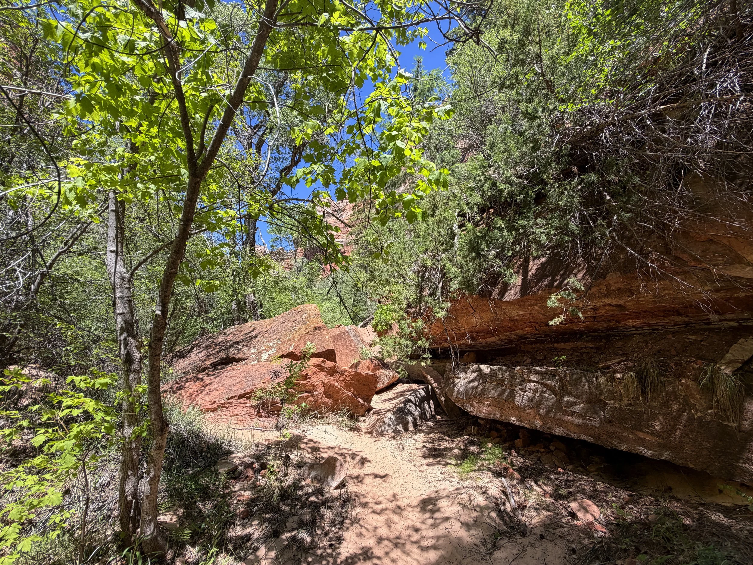 Subway Trail Zion National Park Utah