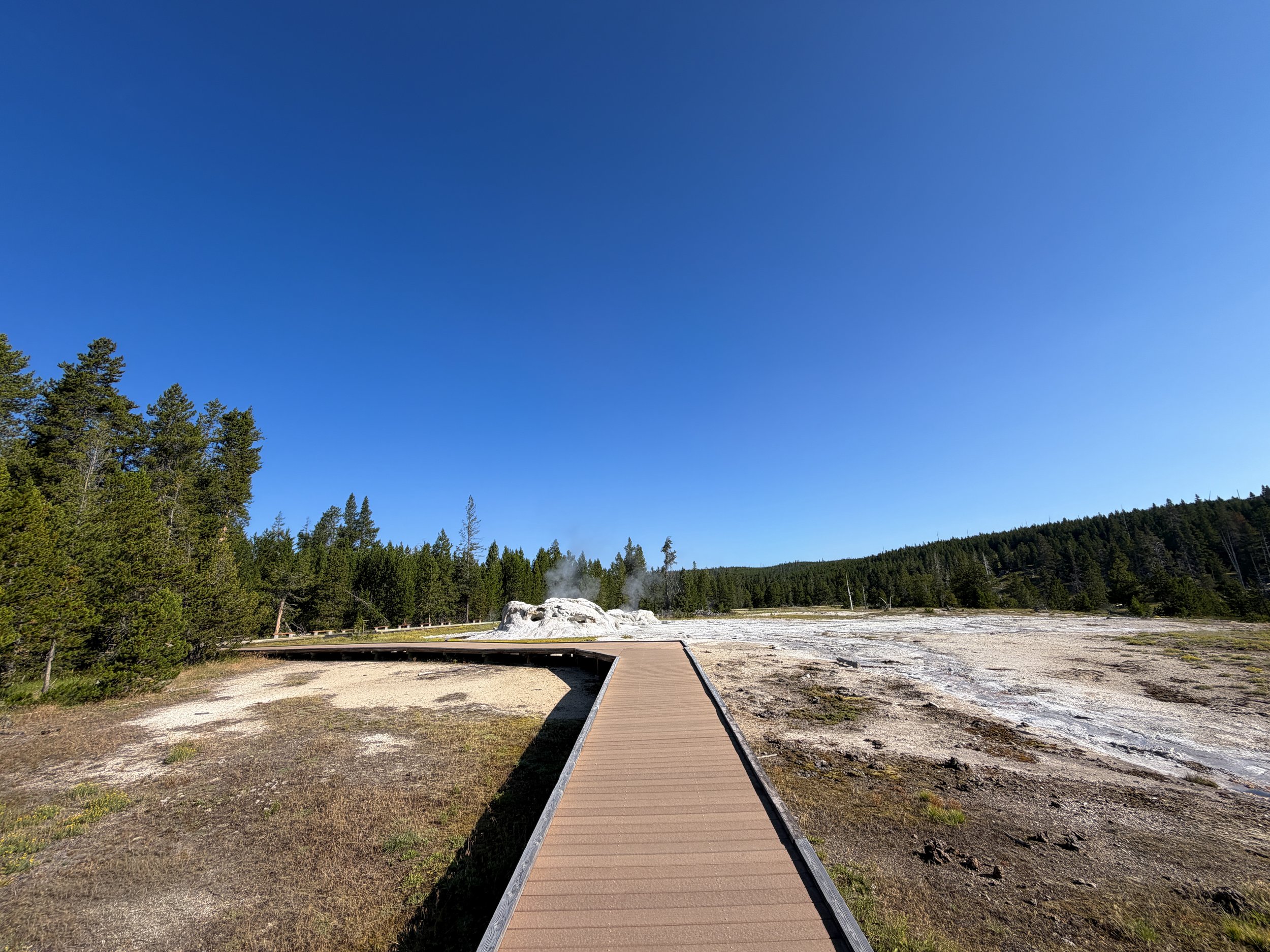 Upper Geyser Basin Trail Yellowstone National Park Wyoming