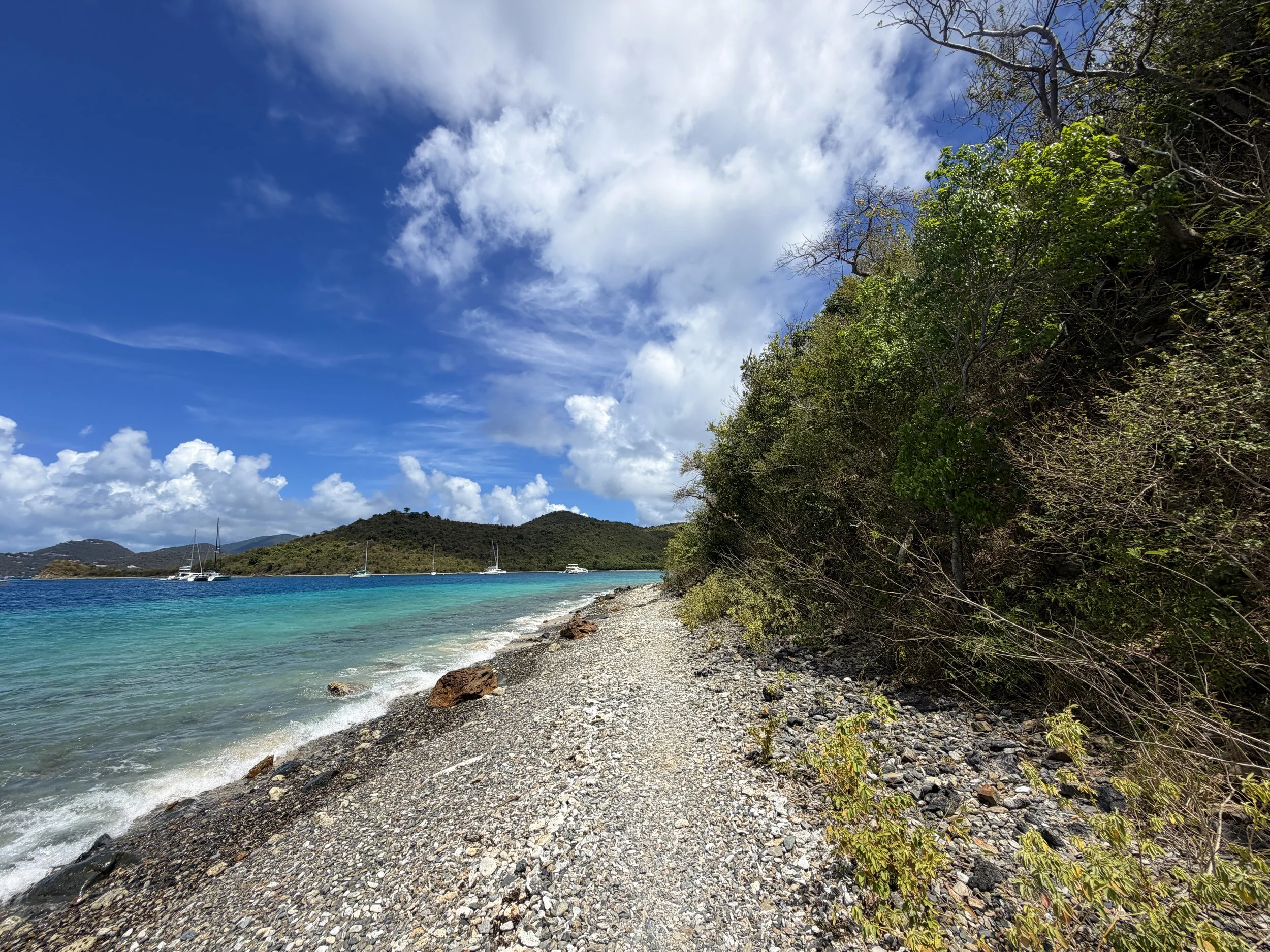 Leinster Bay Trail to Waterlemon Cay Virgin Islands National Park