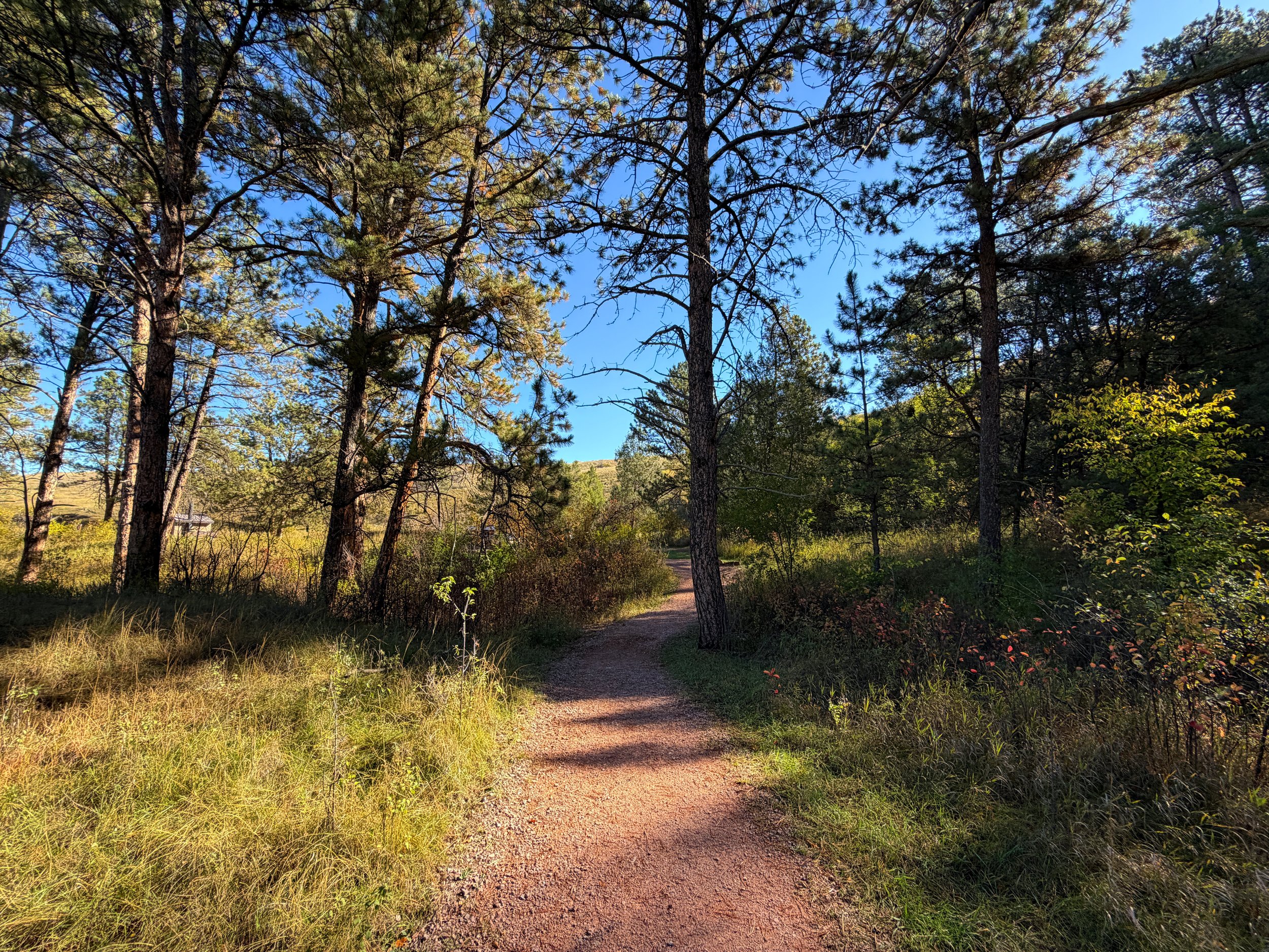 Prairie Vista Trail Wind Cave National Park South Dakota