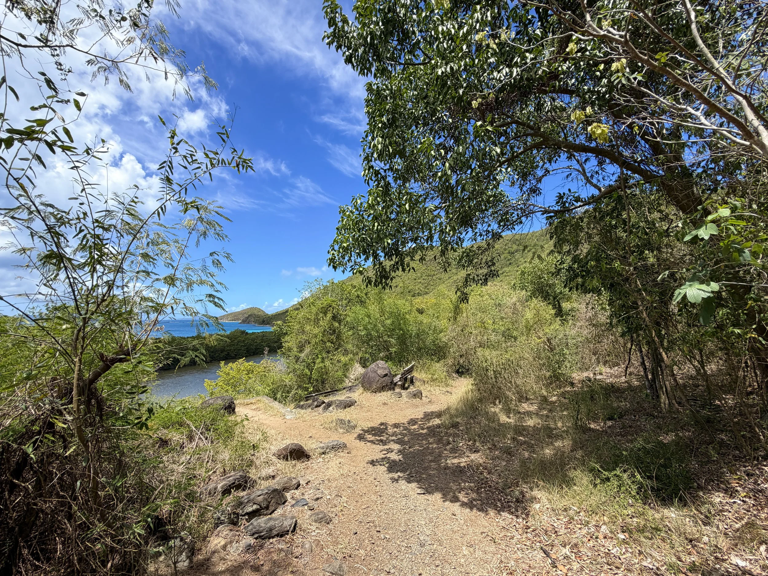 Francis Bay Hike Virgin Islands National Park