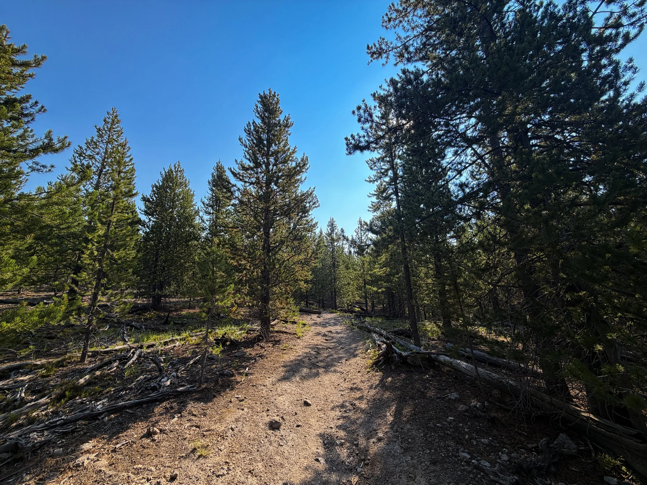 Mystic Falls Loop Trail Yellowstone National Park Wyoming