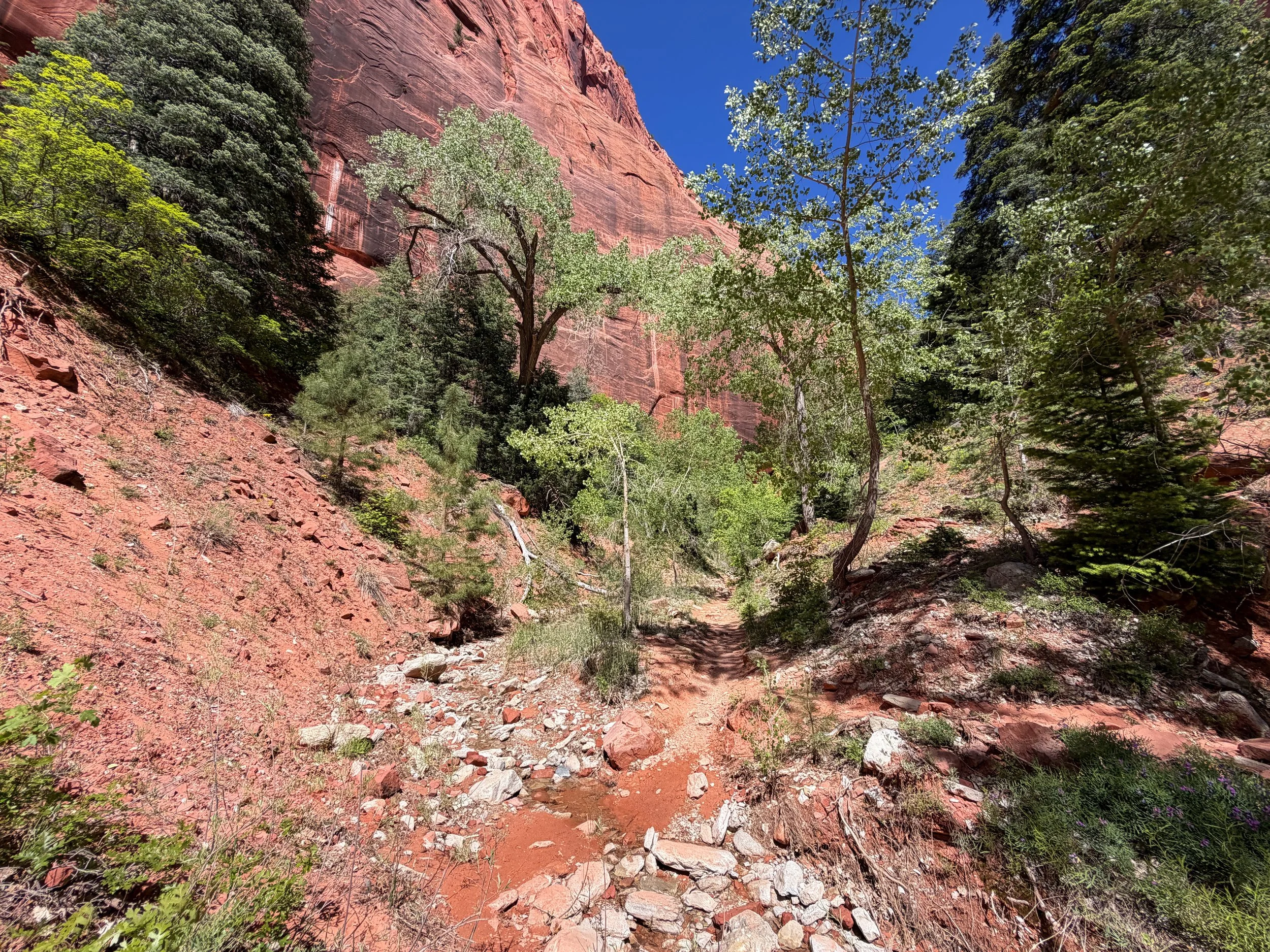 Middle Taylor Creek Trail Zion National Park Utah