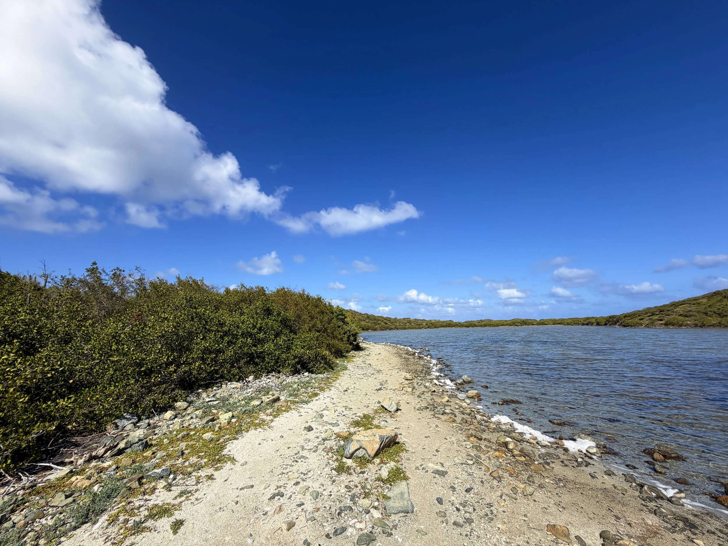 Drunk Bay Hike Virgin Islands National Park