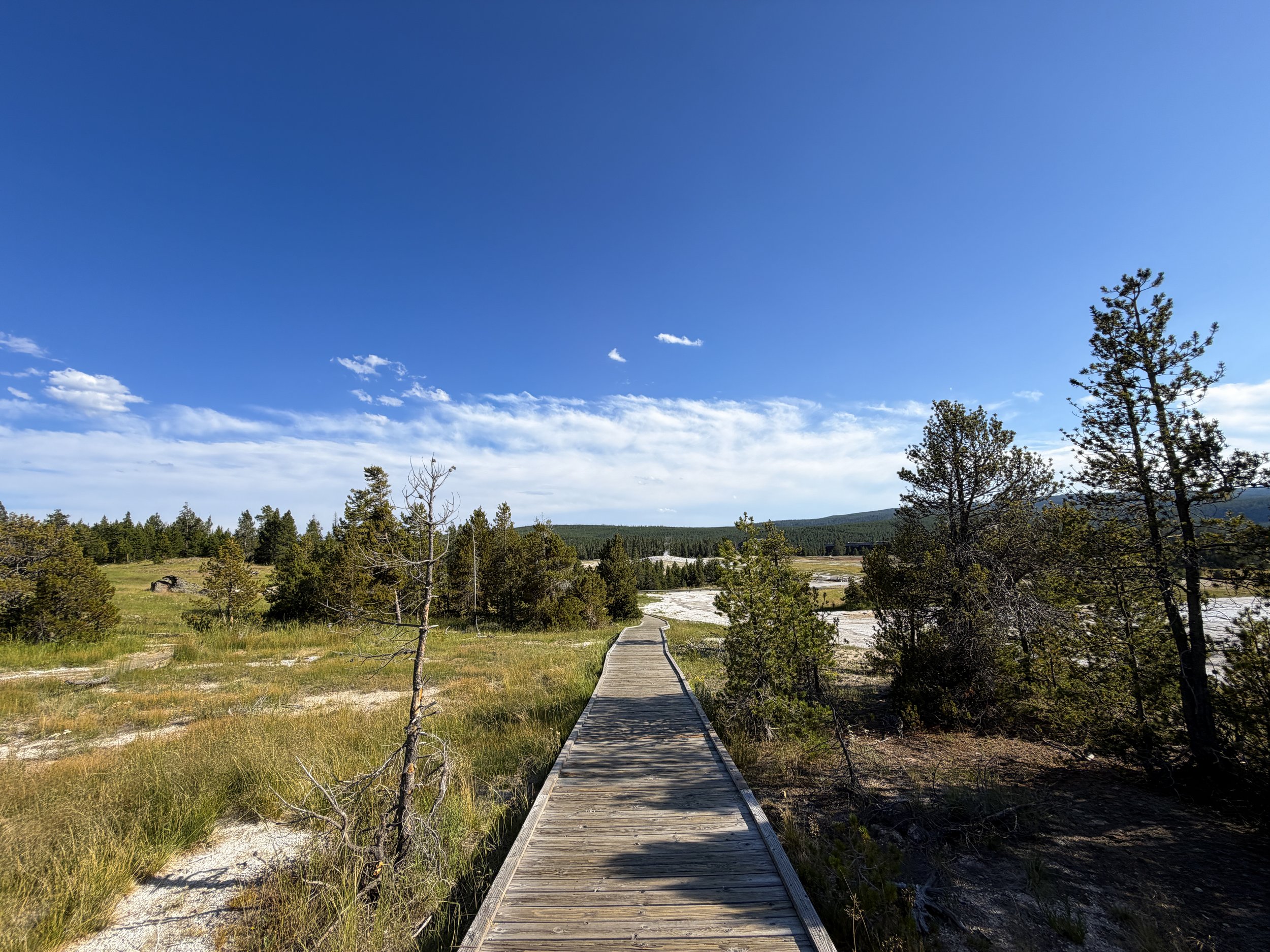 Upper Geyser Hill Trail Yellowstone National Park Wyoming