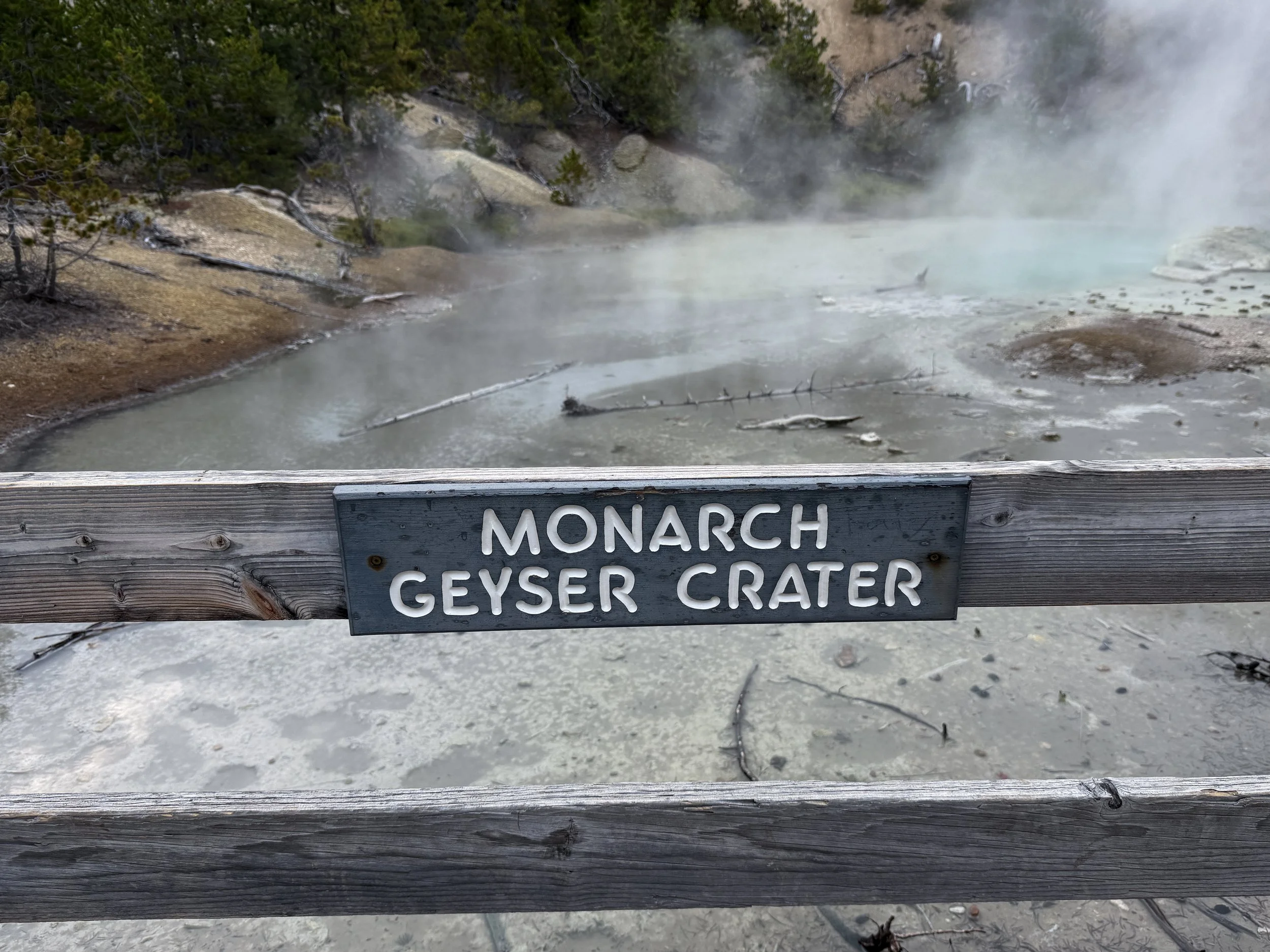 Monarch Geyser Norris Geyser Basin Trail Yellowstone National Park Wyoming