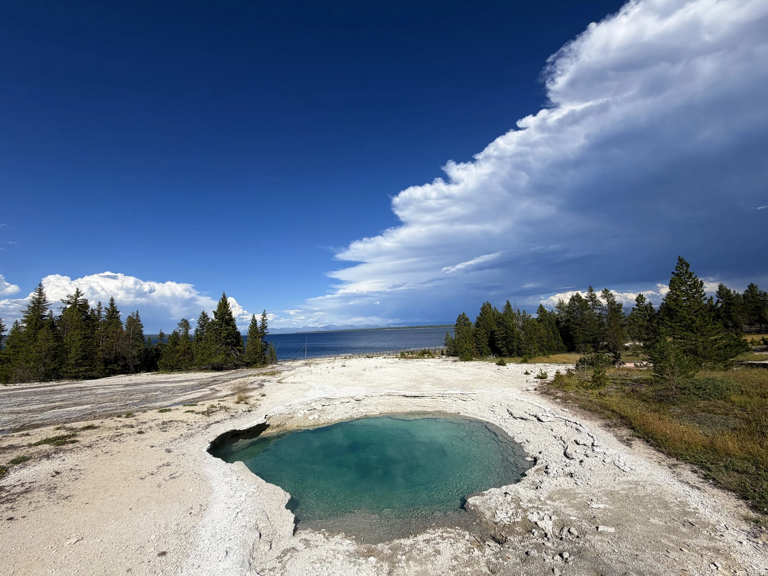 Surging Spring West Thumb Geyser Basin Trail Yellowstone National Park Wyoming