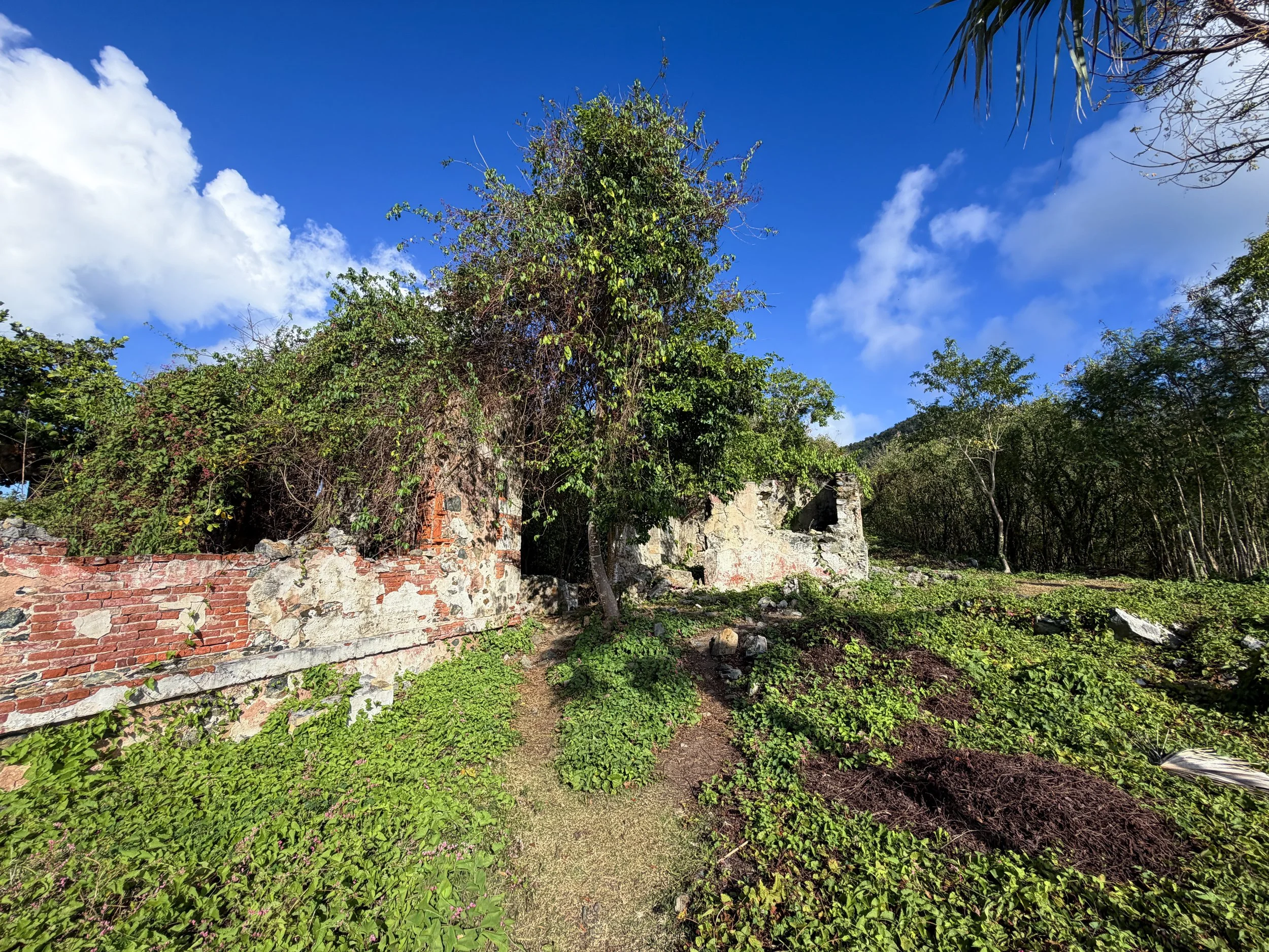 America Hill Ruins Virgin Islands National Park