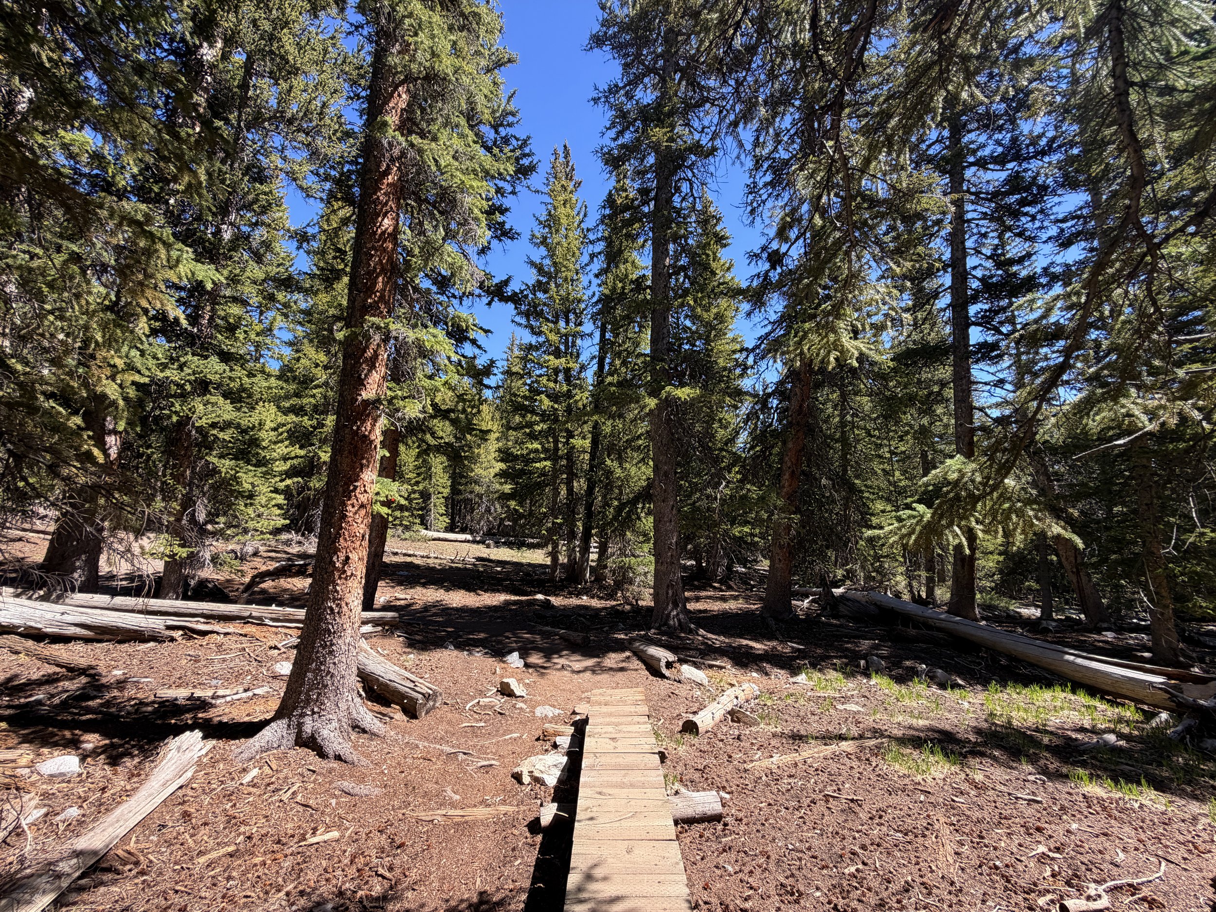 Alpine Lakes Loop Hike Great Basin National Park Nevada