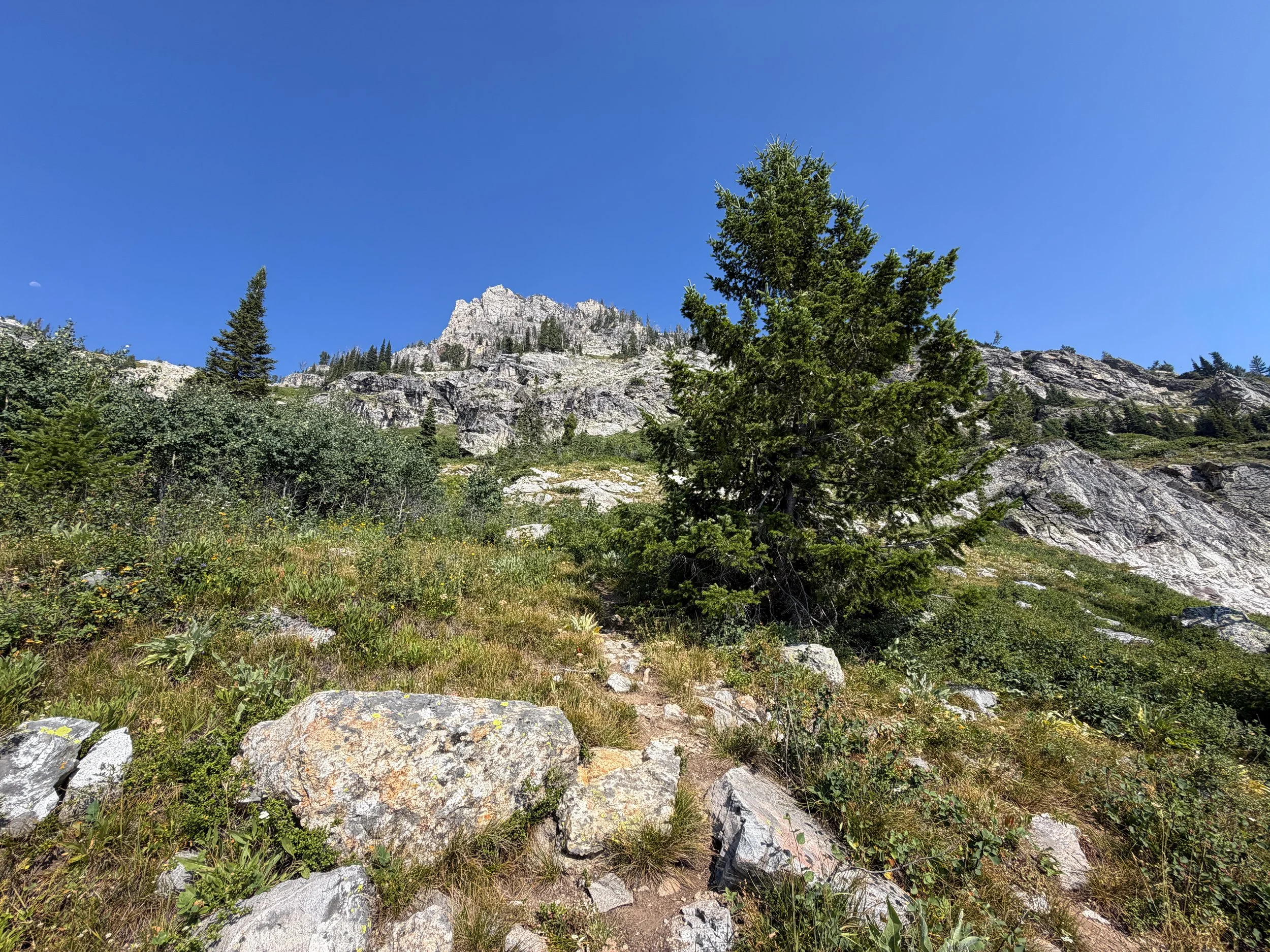 Lake of the Crags Trail via String Lake Grand Teton National Park Wyoming