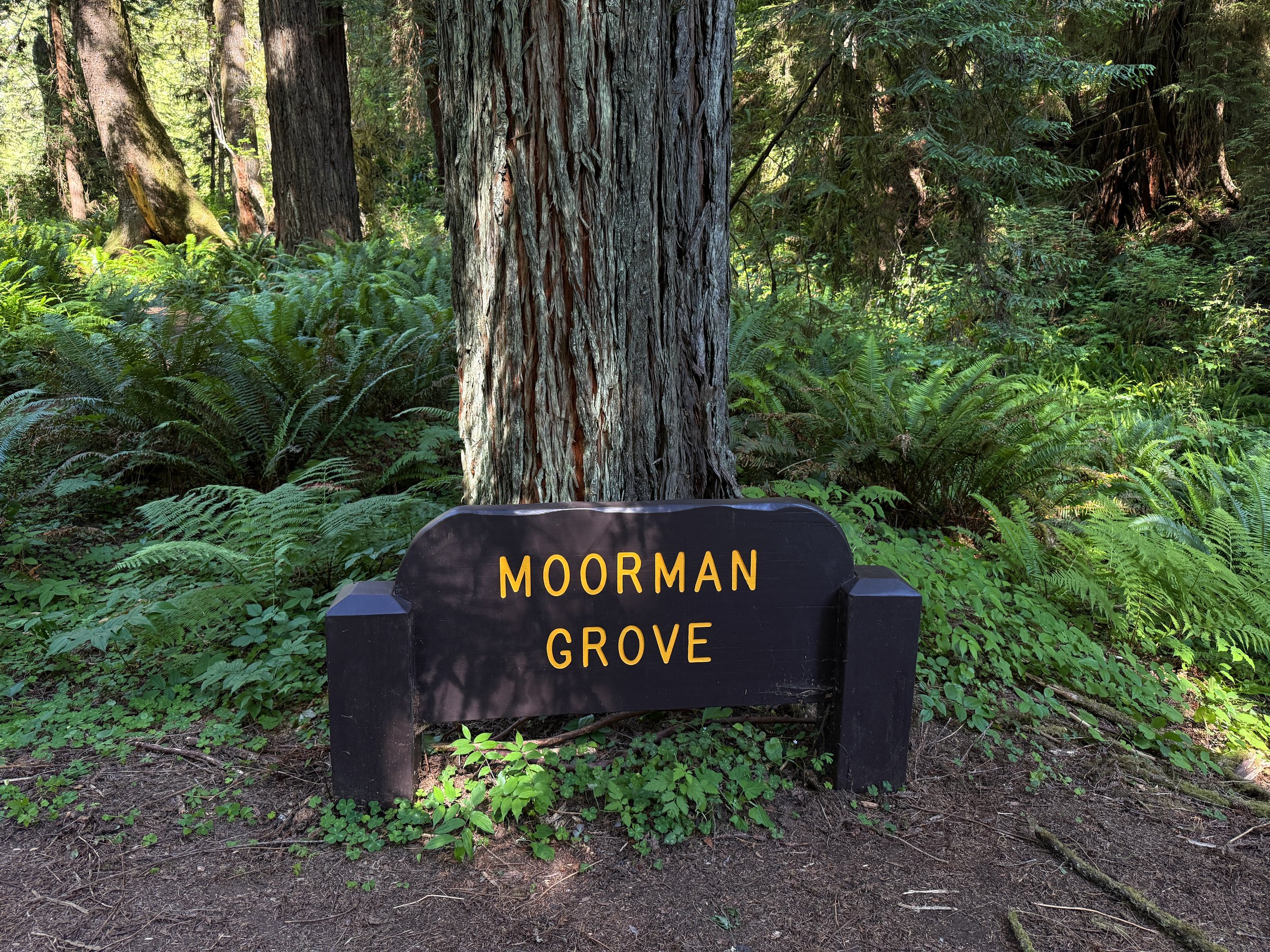 Moorman Pond Trailhead Prairie Creek Redwoods State Park California