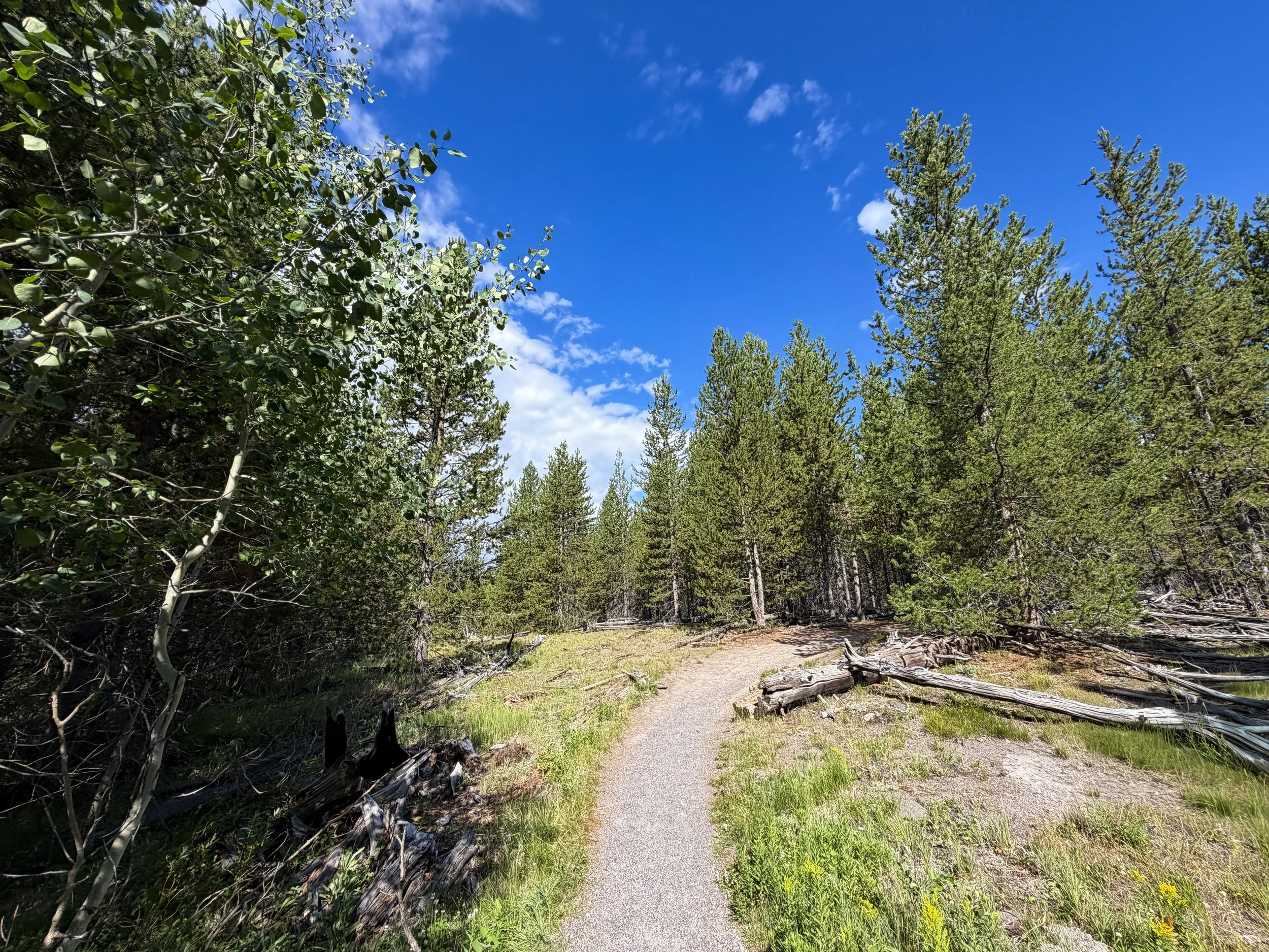 Fairy Falls Trail to Imperial Geyser Yellowstone National Park Wyoming