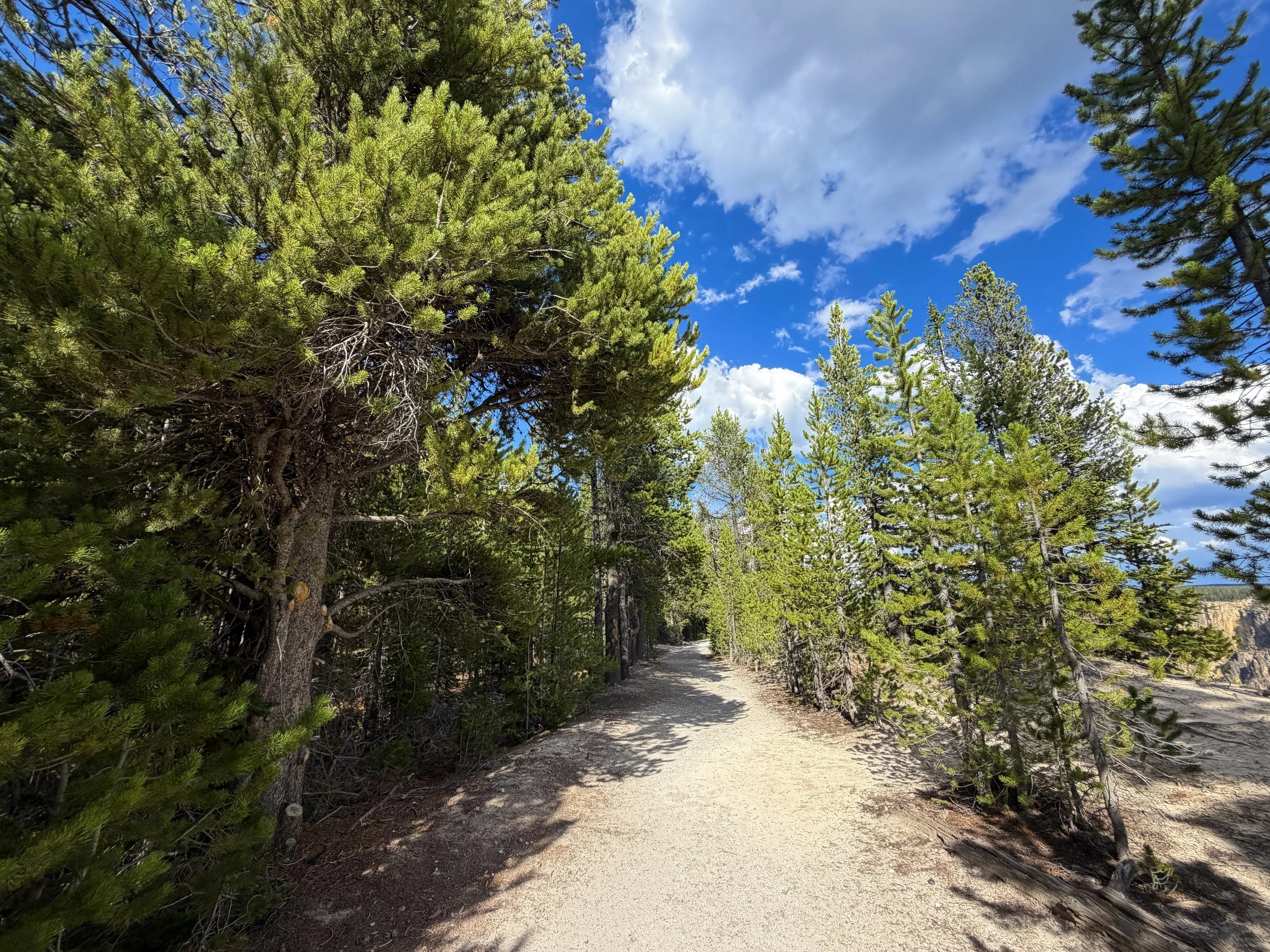 North Rim Trail Yellowstone National Park Wyoming