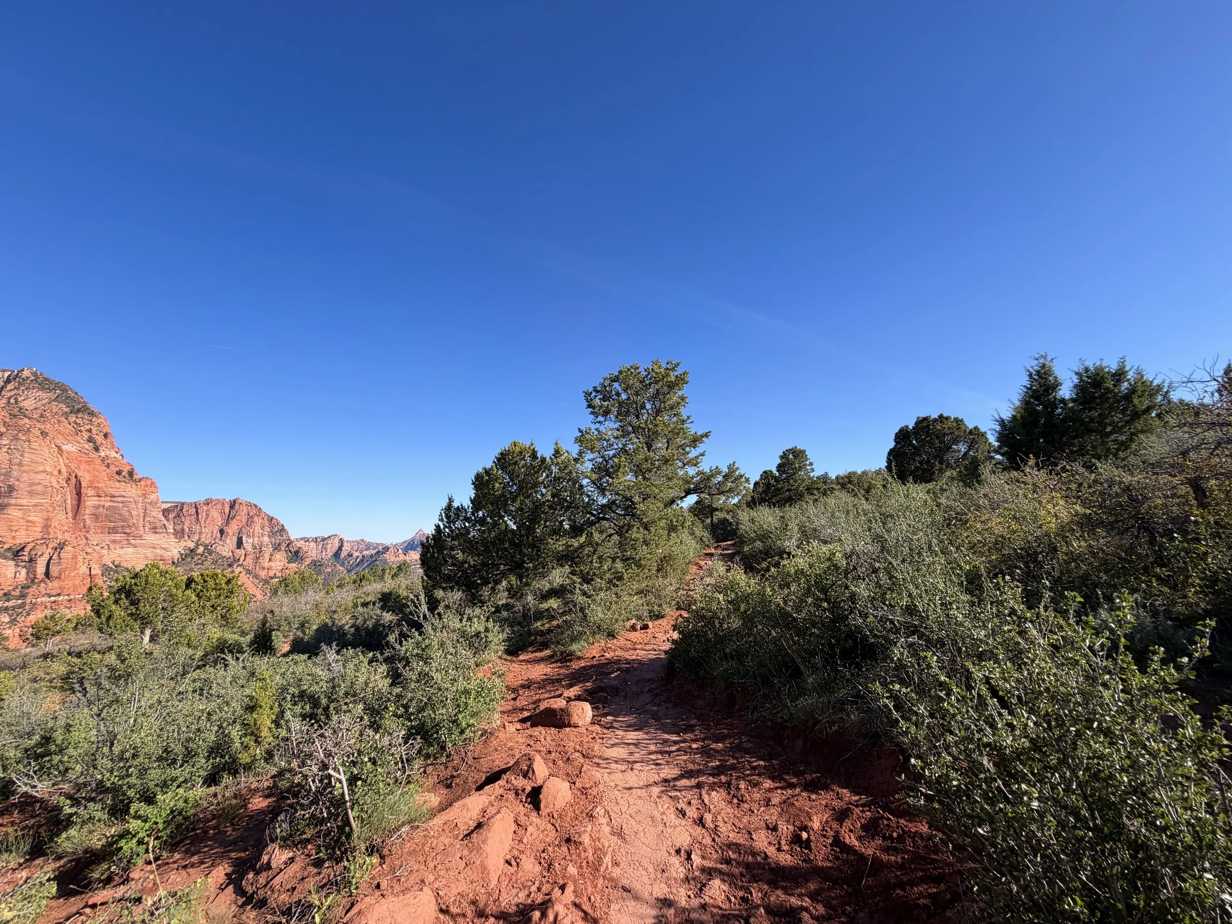 Timber Creek Overlook Trail Zion National Park Utah