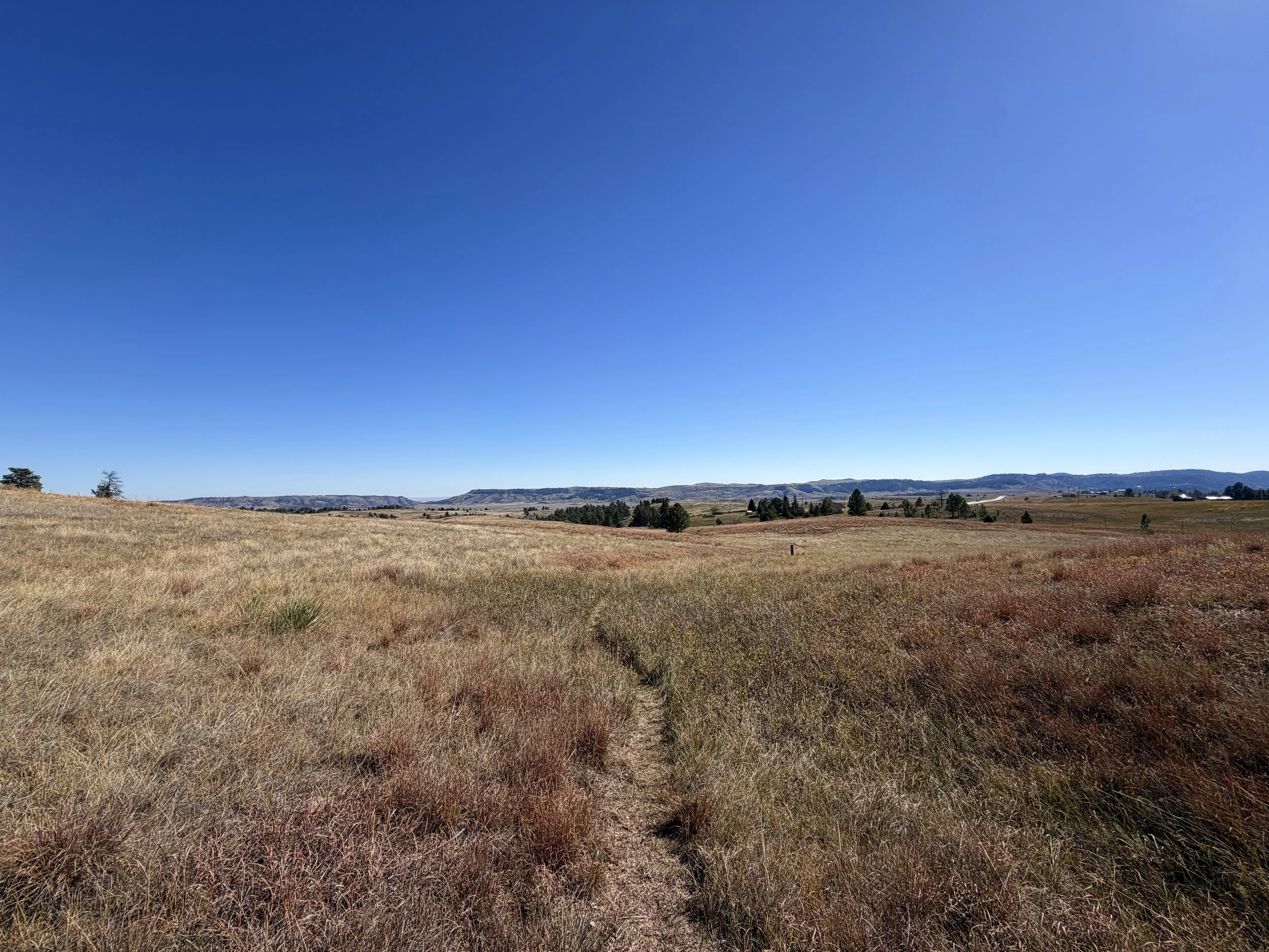 East Bison Flats Trail Wind Cave National Park South Dakota
