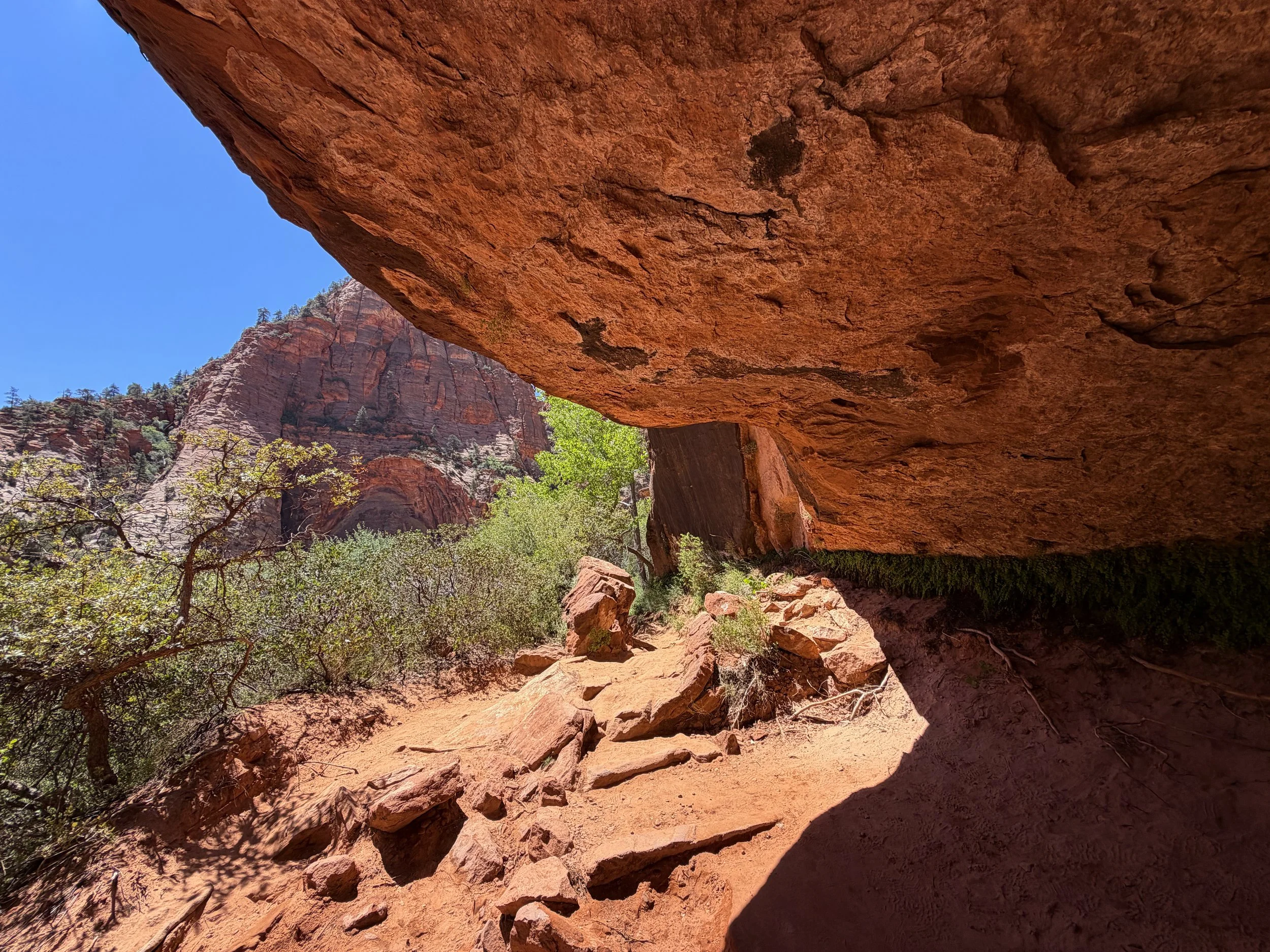 Zion Canyon Overlook Trail Zion National Park Utah