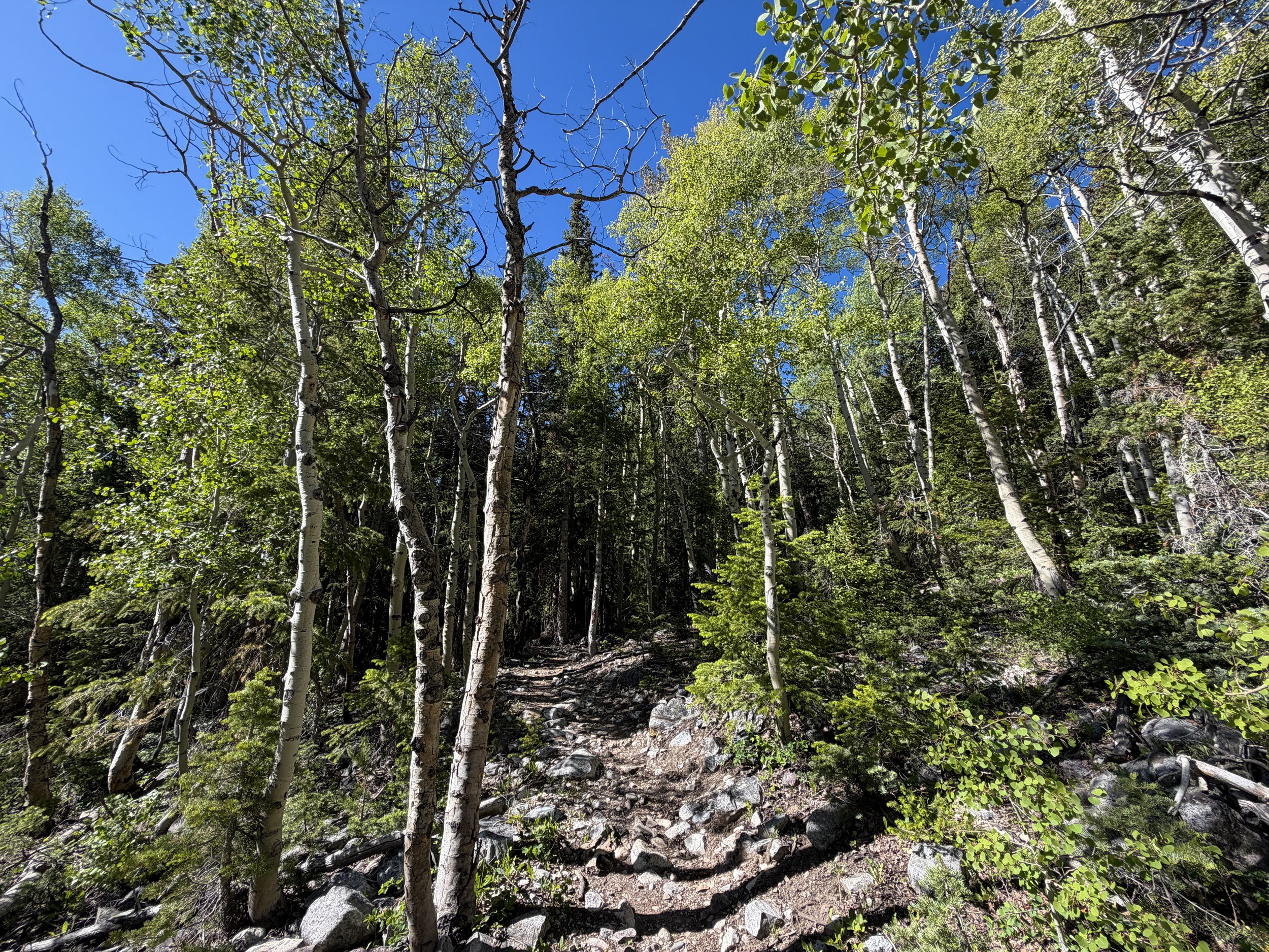 Baker Lake Trail Great Basin National Park Nevada