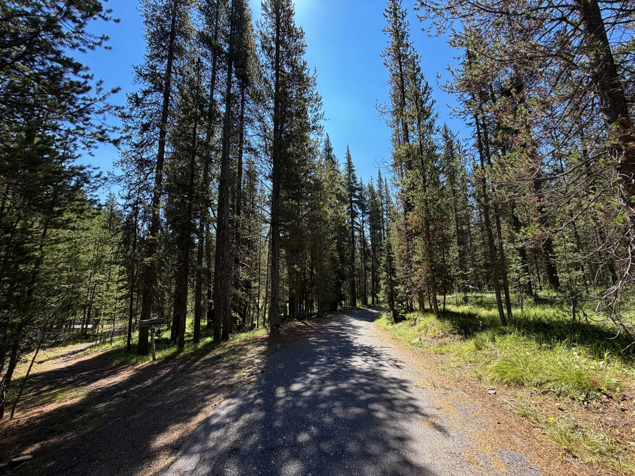 Lone Star Trail Yellowstone National Park Wyoming