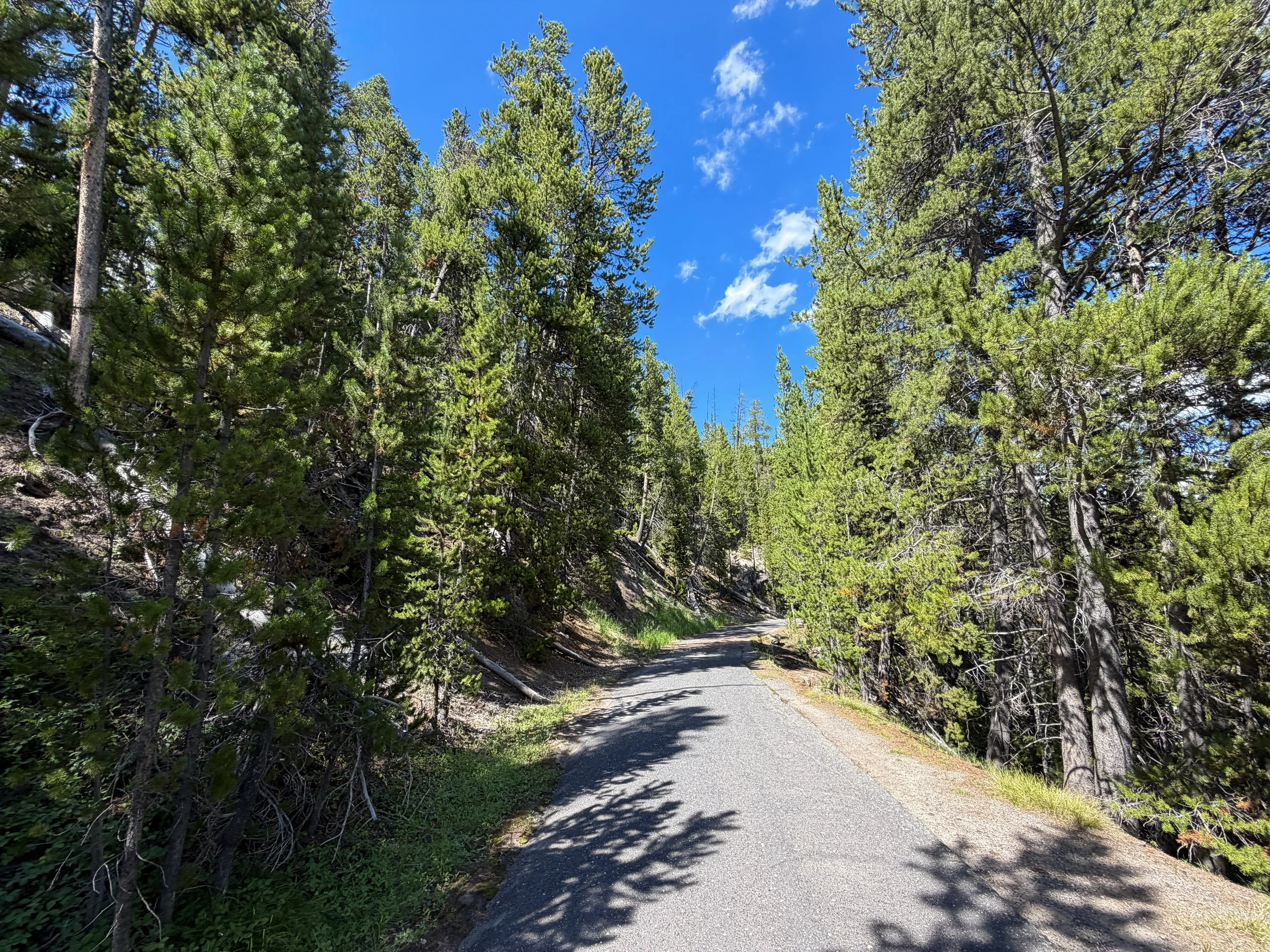 North Rim Trail Yellowstone National Park Wyoming
