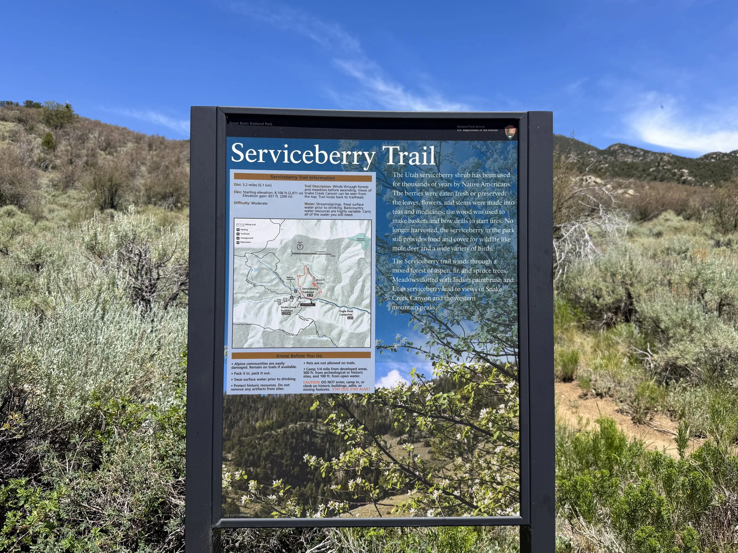 Serviceberry Loop Trailhead Great Basin National Park Nevada