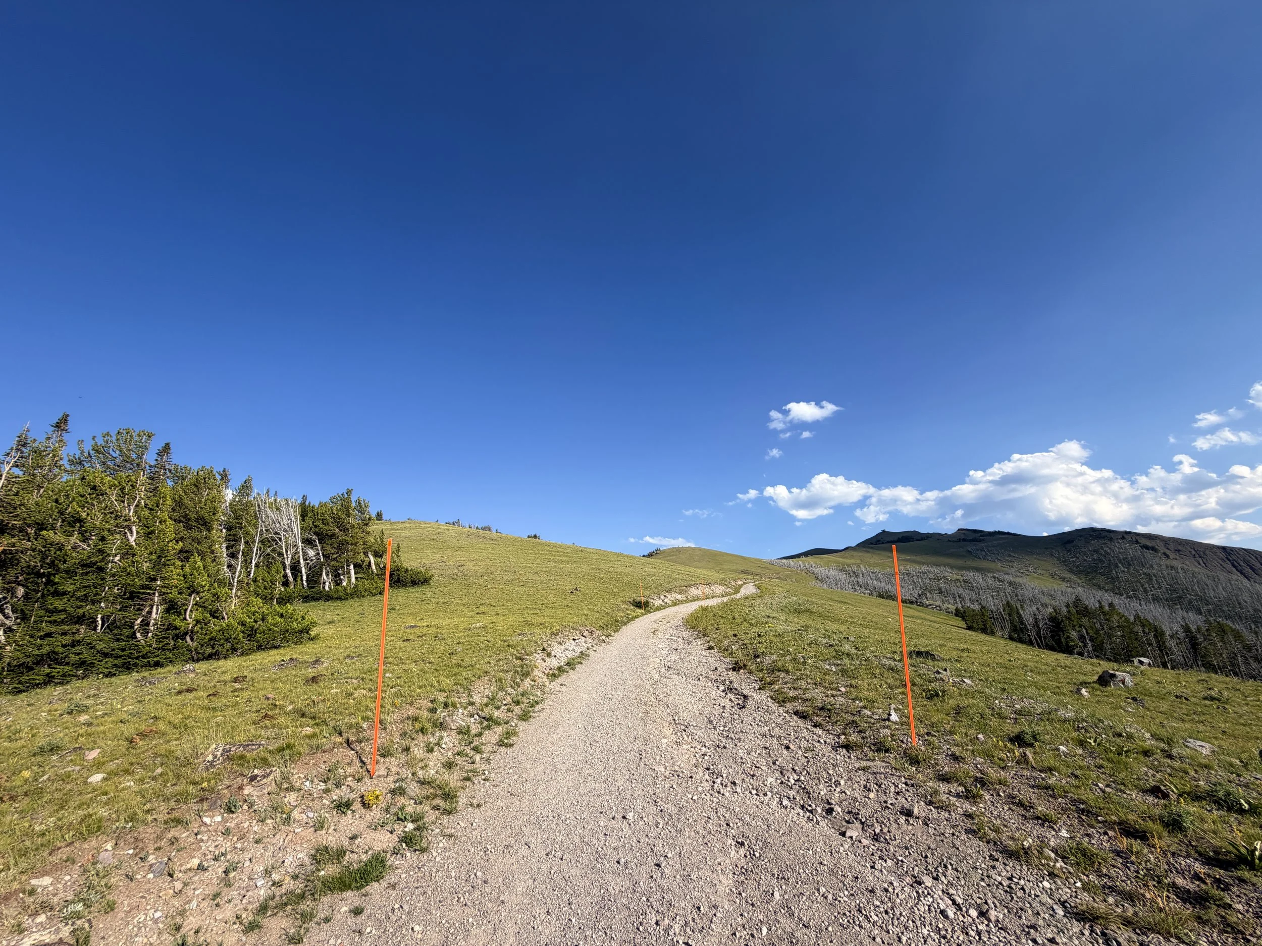 Mount Washburn Trail via Chittenden Road Yellowstone National Park Wyoming