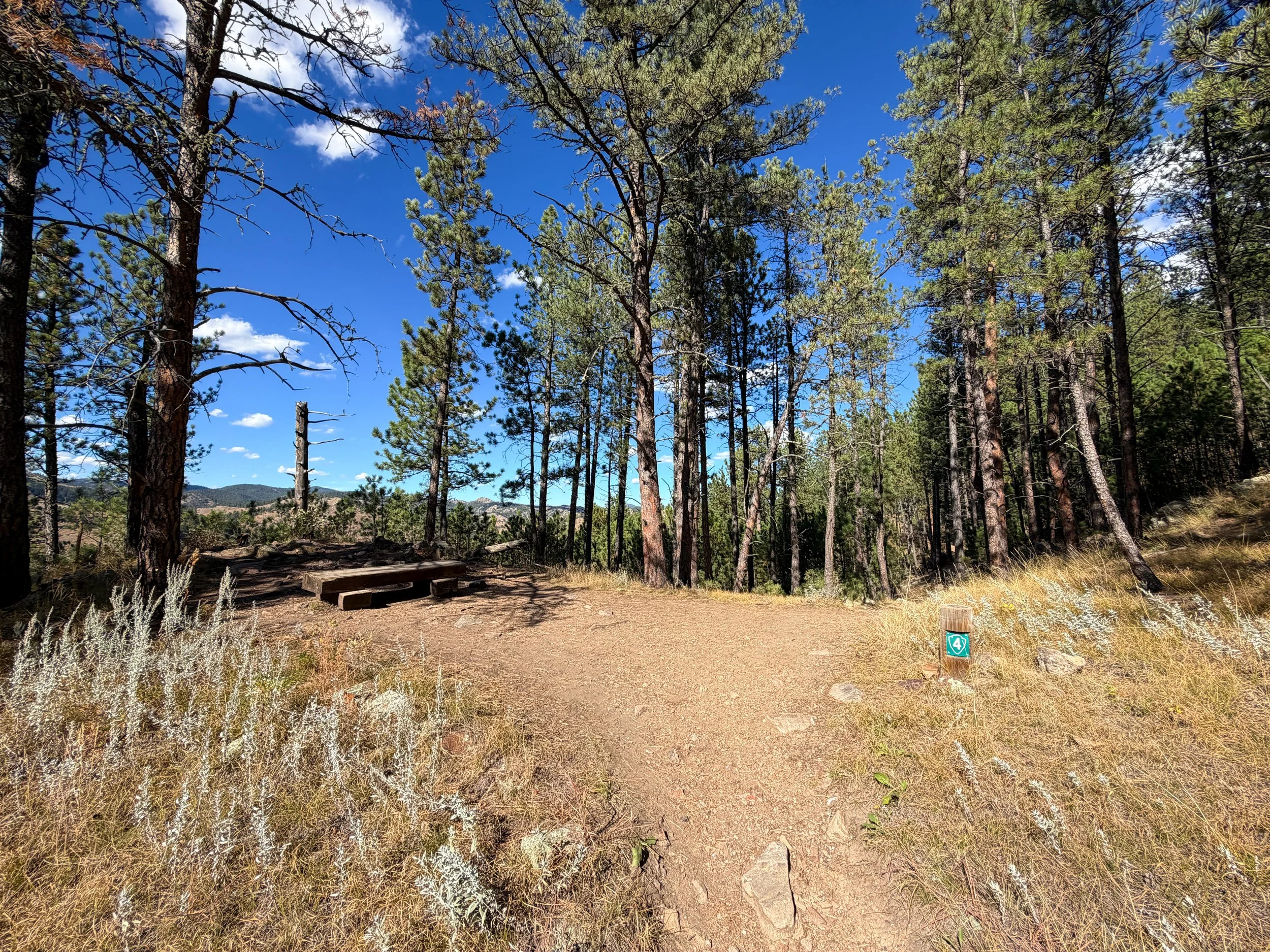 Rankin Ridge Trail Wind Cave National Park South Dakota
