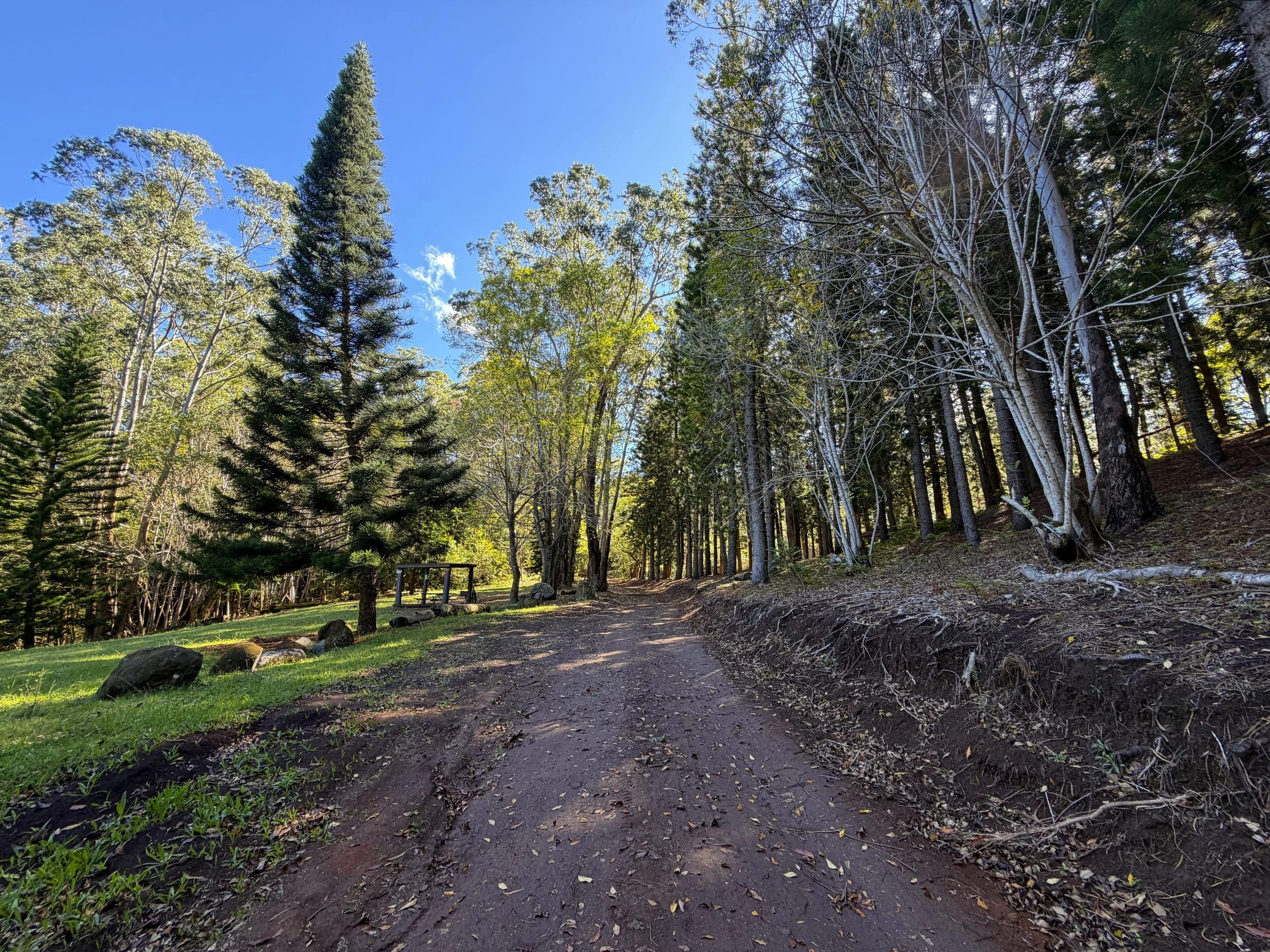 Peacock Flats Campground to Mokuleia Trail Oahu Hawaii
