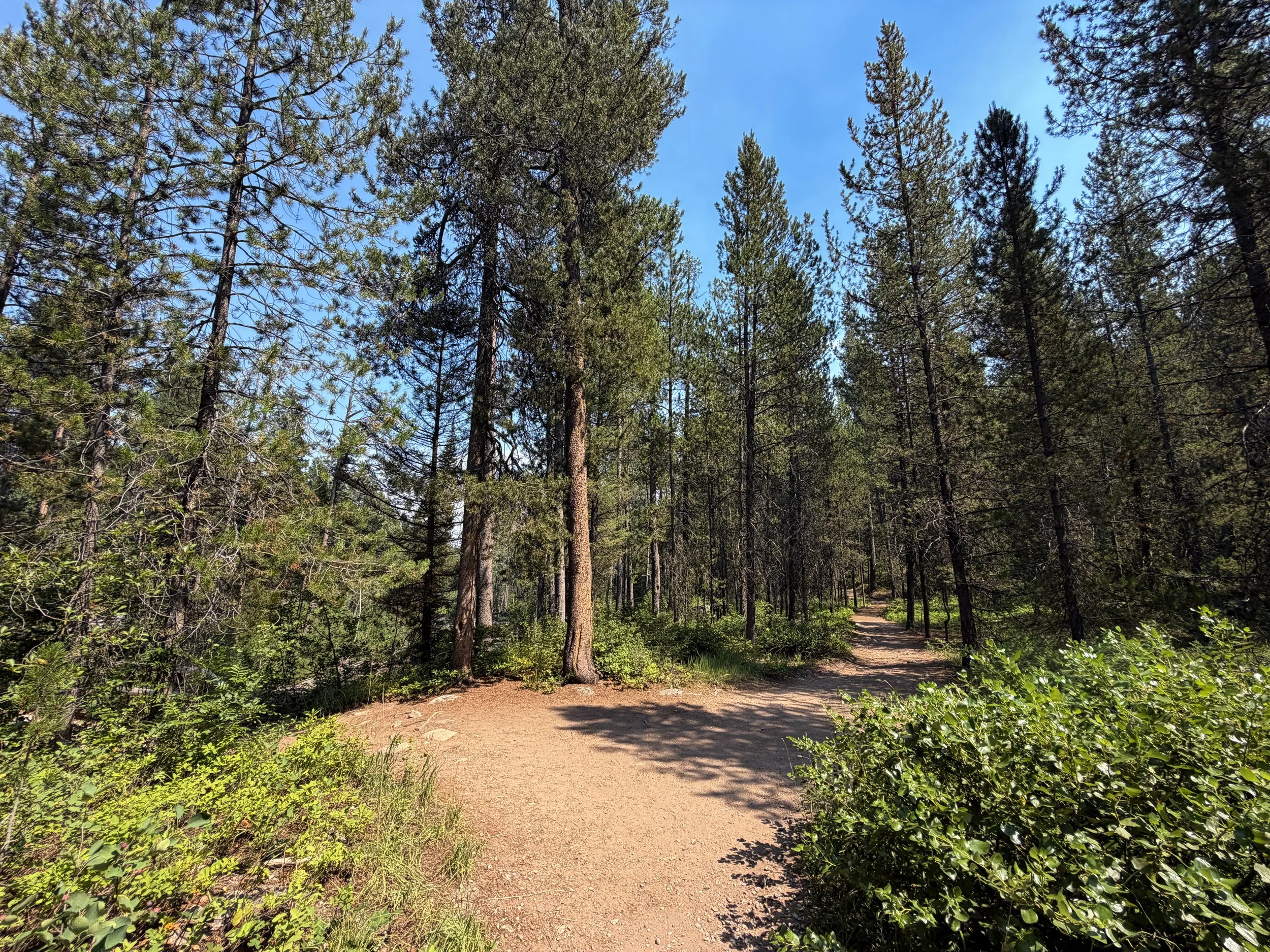 Phelps Lake Loop Trail Grand Teton National Park Wyoming