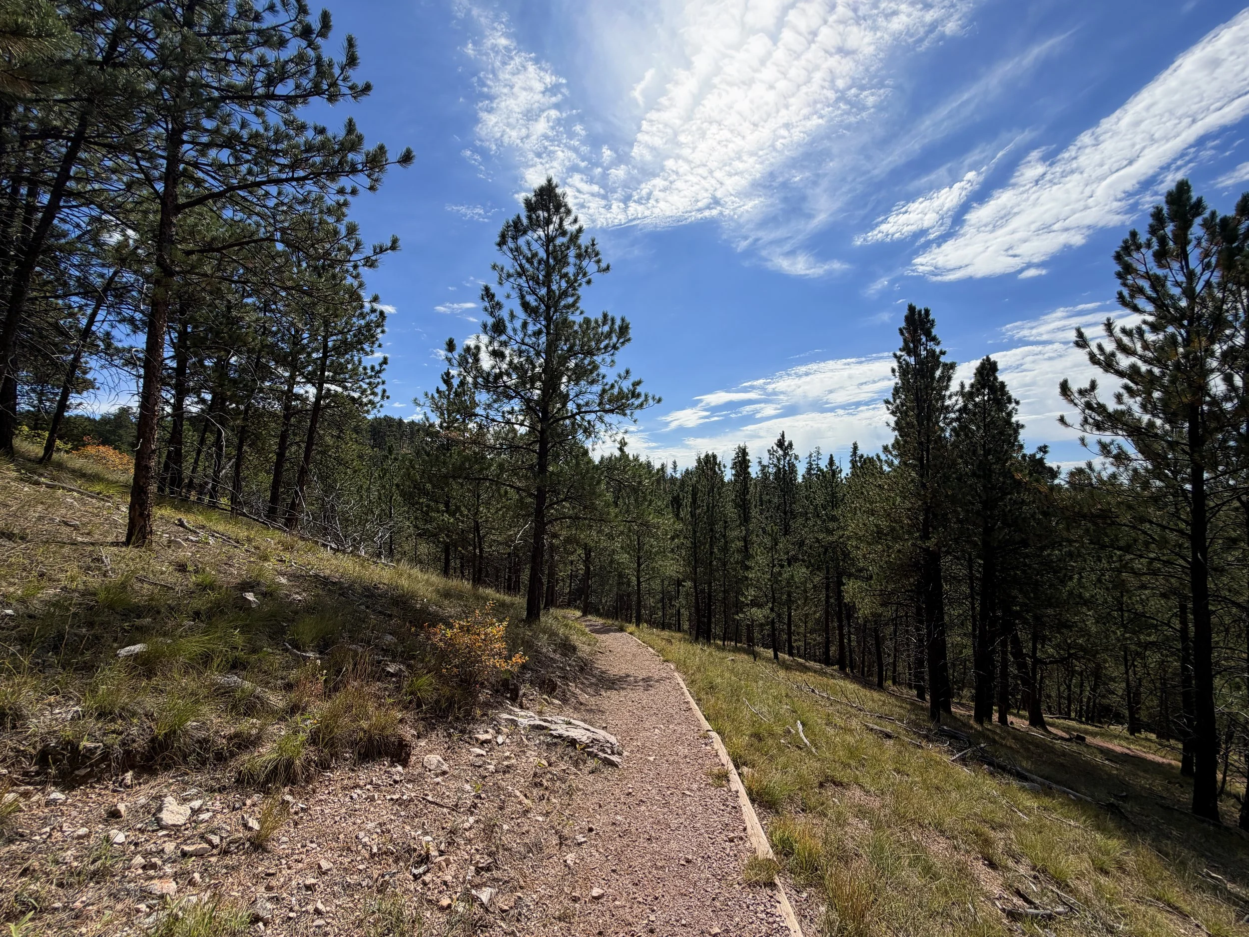 Canyons Trail Switchbacks Jewel Cave National Monument Black Hills South Dakota