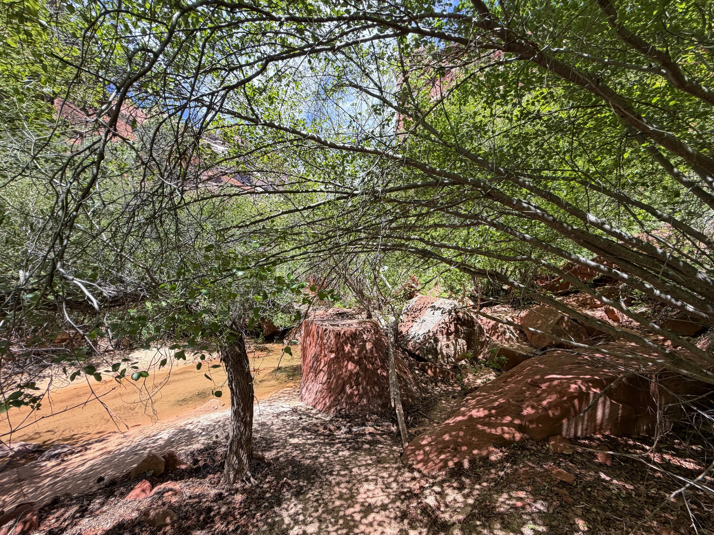 Left Fork Trail to the Subway Zion National Park Utah