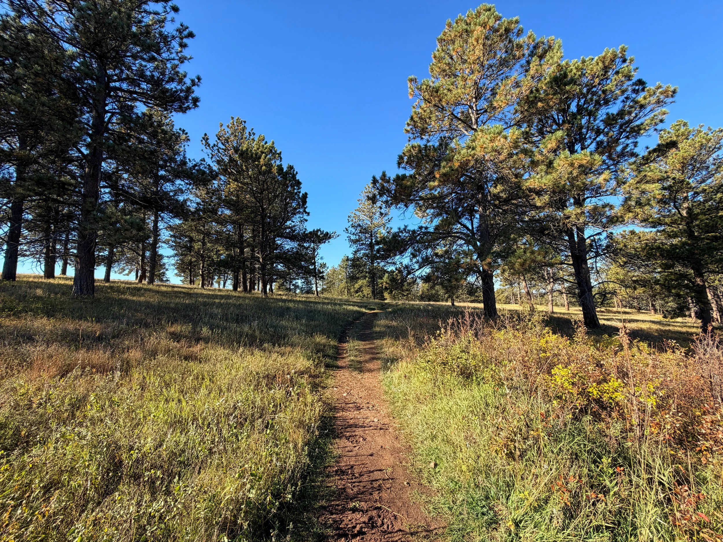 Cold Brook Canyon Trail Wind Cave National Park South Dakota