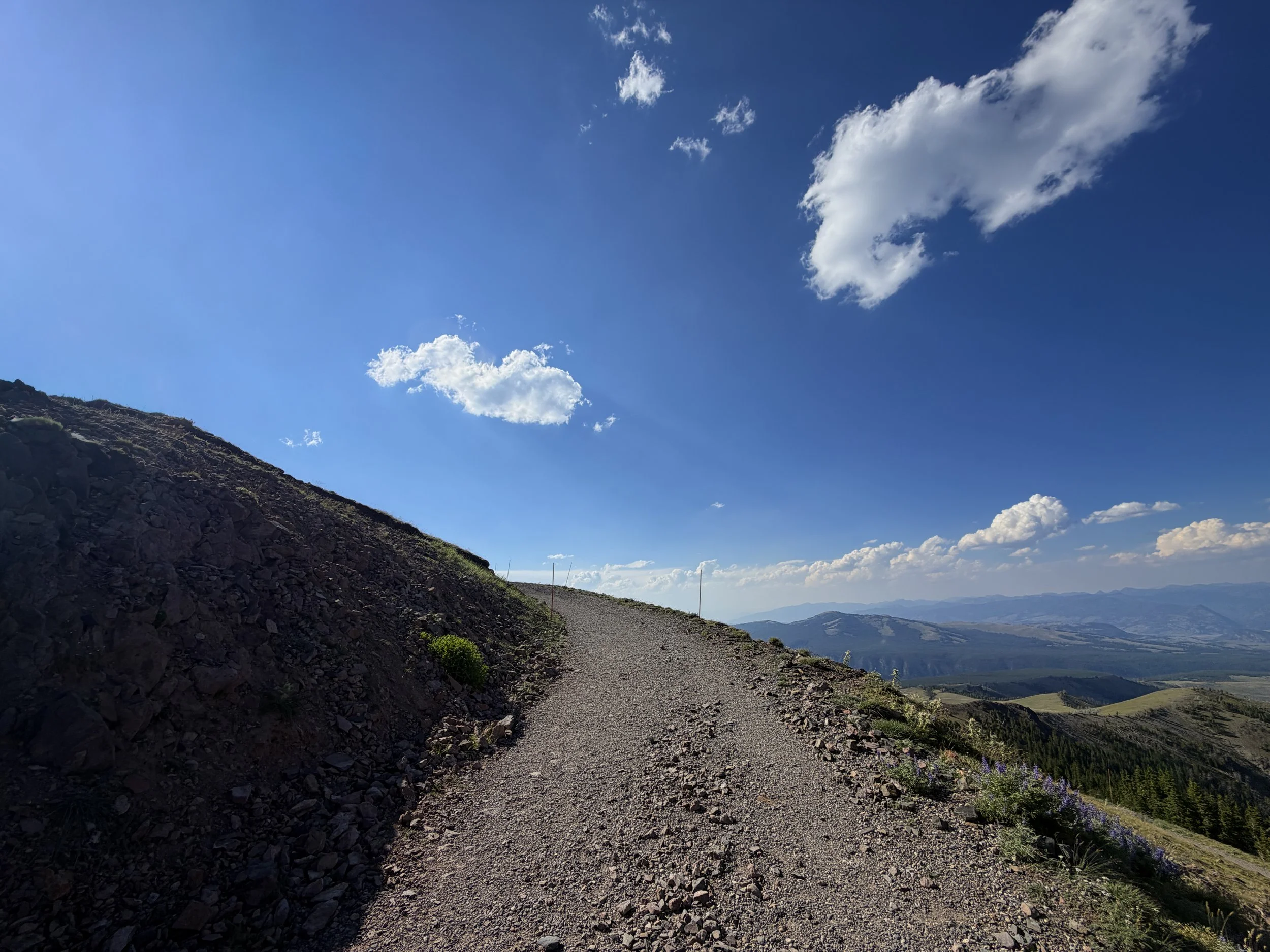 Dunraven Pass to Mt. Washburn Yellowstone National Park Wyoming