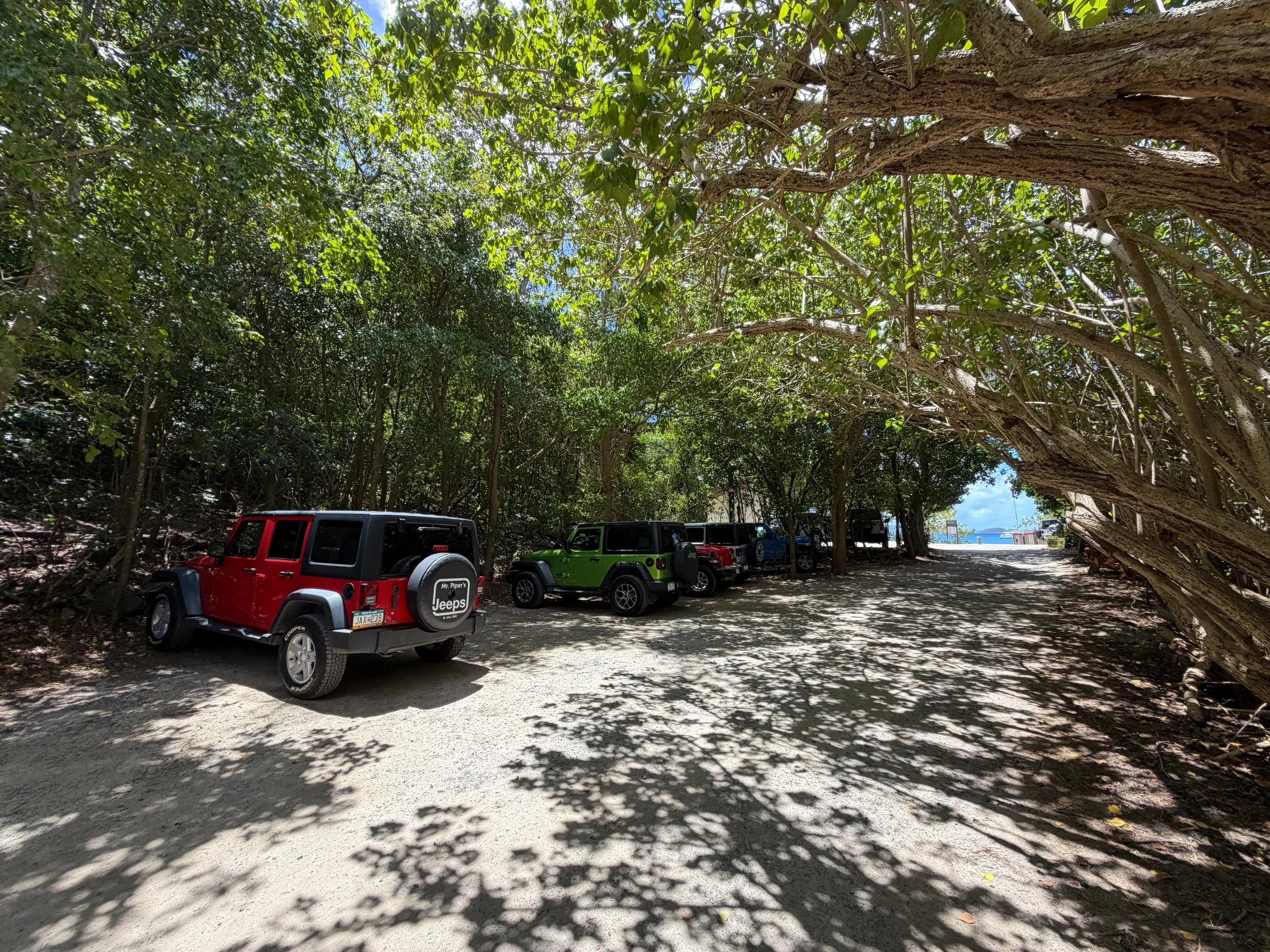 Francis Bay Trailhead Parking Virgin Islands National Park