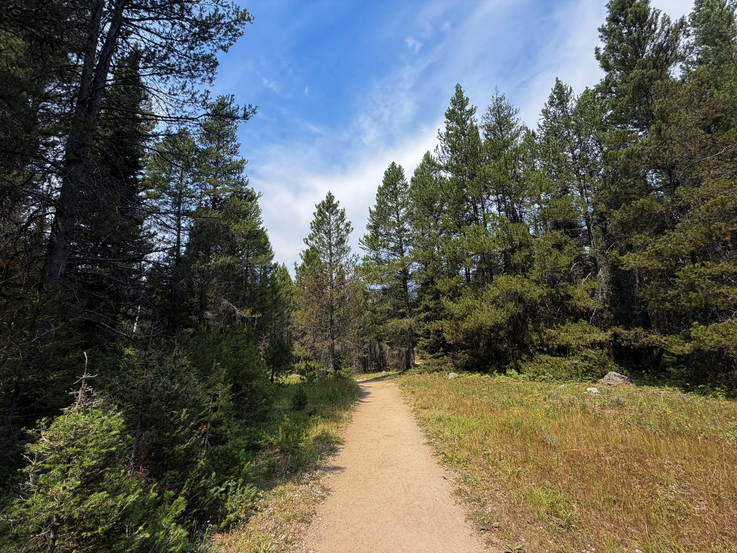 Phelps Lake Loop Hike Grand Teton National Park Wyoming