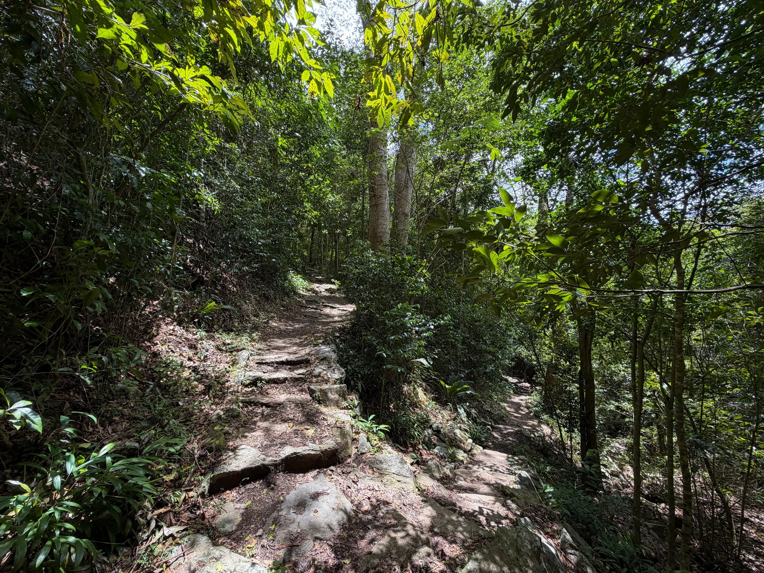 Reef Bay Trail Switchbacks Virgin Islands National Park