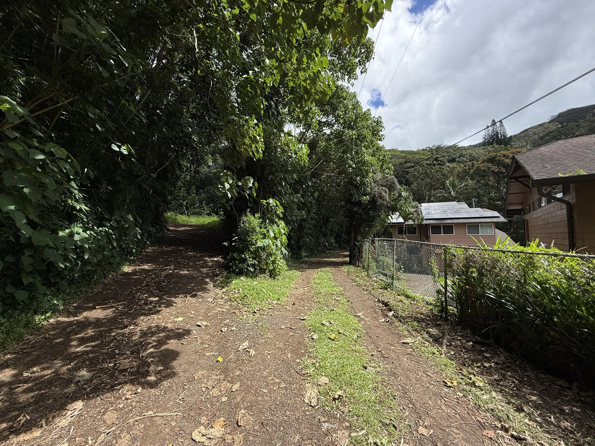 Hiking the Mānoa Middle Ridge Trail on Oʻahu, Hawaiʻi — noahawaii