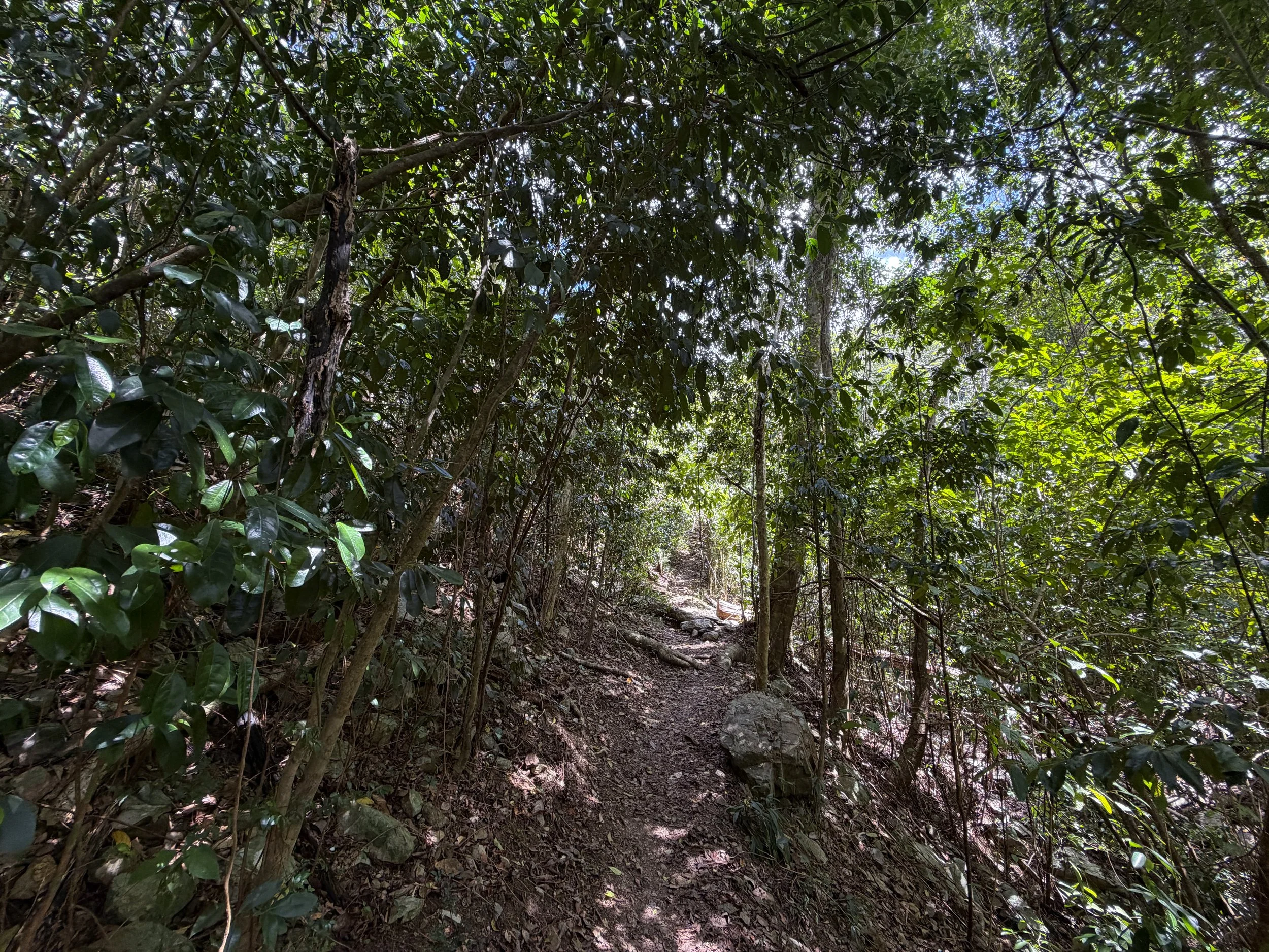 Cinnamon Bay Hike Virgin Islands National Park