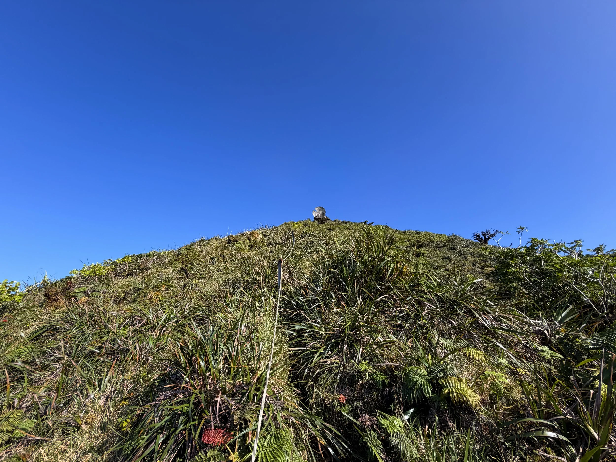 Moanalua Saddle to Stairway to Heaven Koolau Summit Trail Oahu Hawaii