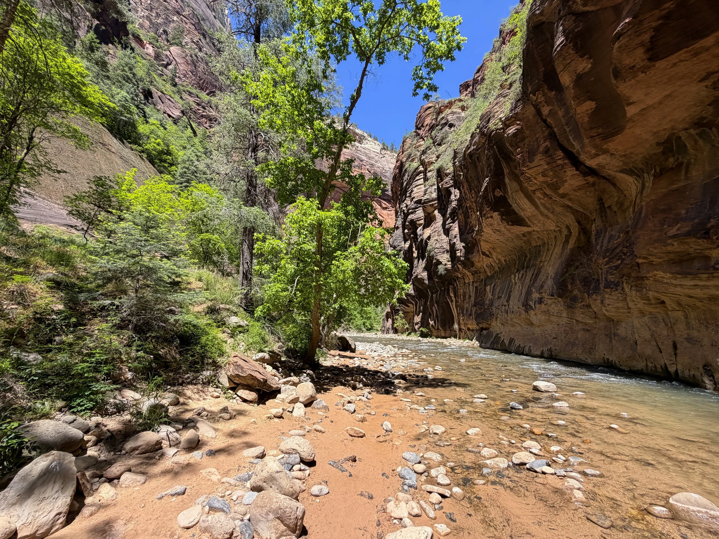 The Narrows Hike Zion National Park Utah