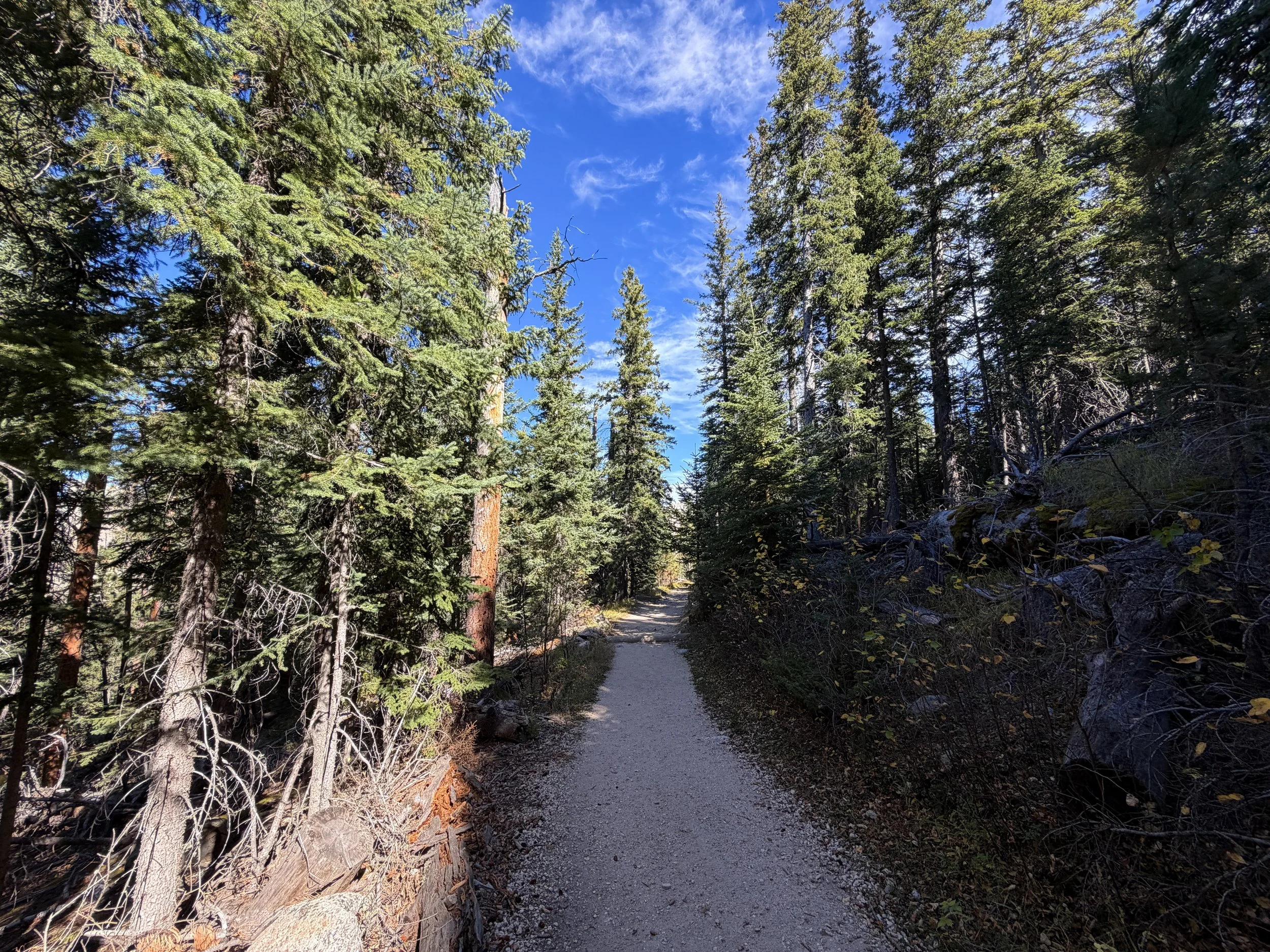 Black Elk Peak Hike Custer State Park Black Hills South Dakota