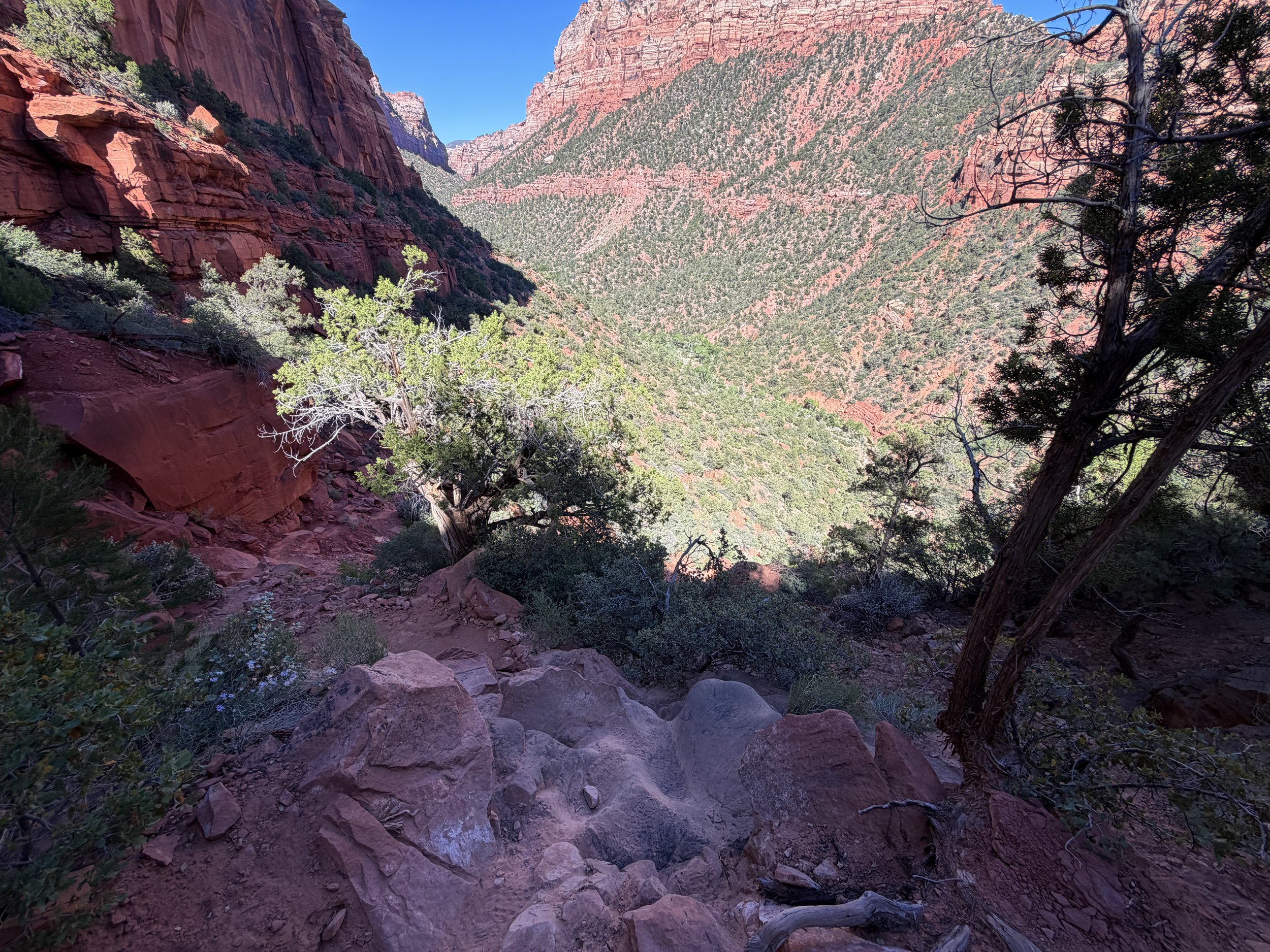 Left Fork Trail to Subway Zion National Park Utah