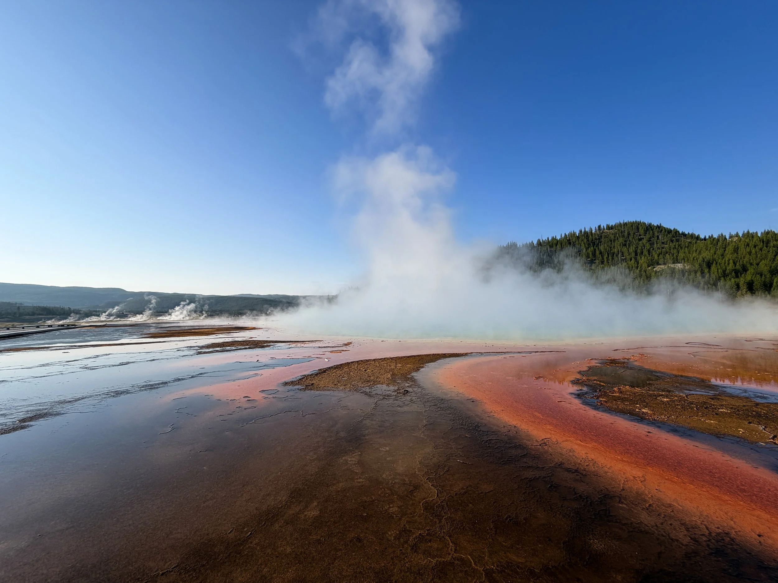Grizzly Footprints Grand Prismatic Spring Trail Yellowstone National Park Wyoming