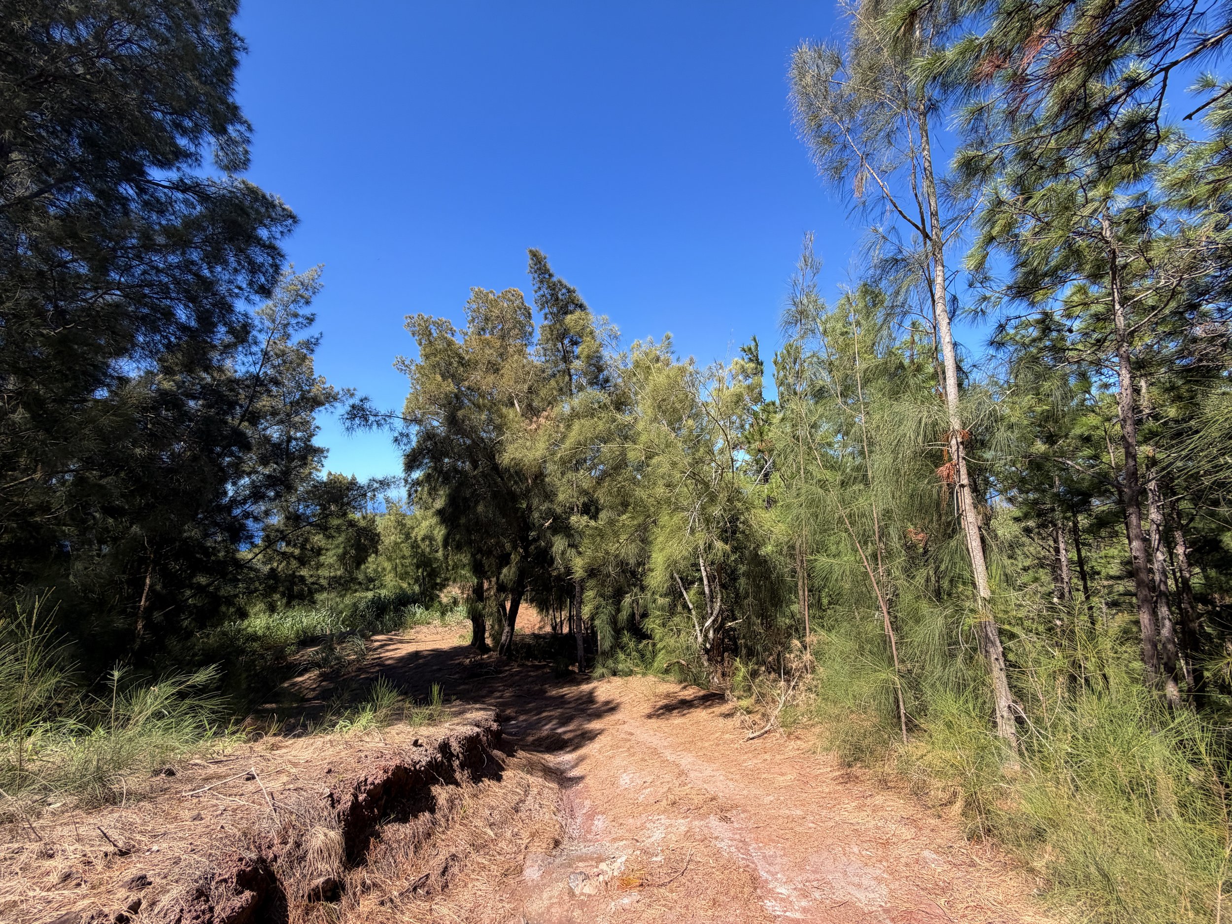 Kuaokala Trail Oahu Hawaii