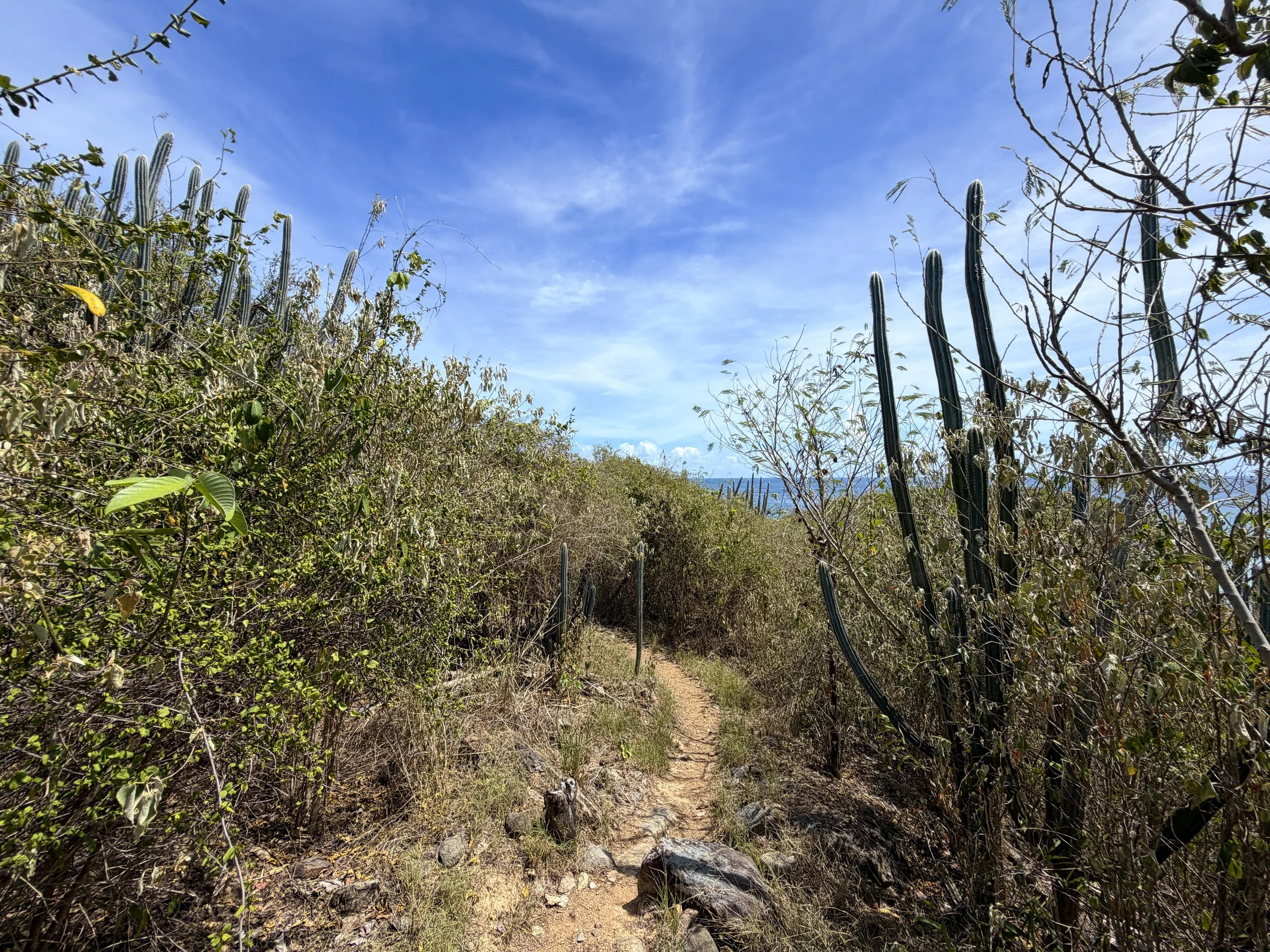 Yawzi Point Hike Virgin Islands National Park