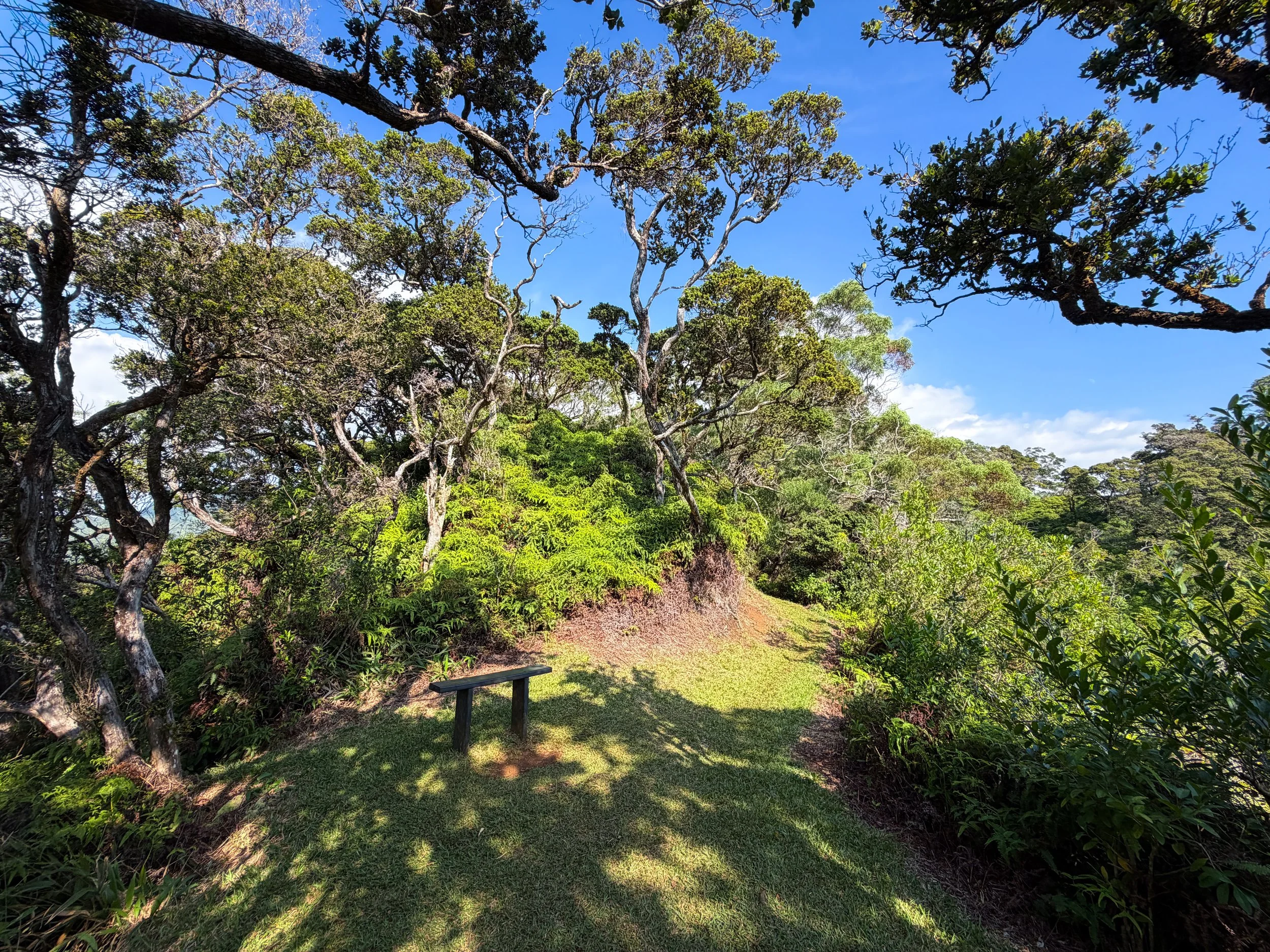 Nuuanu Trail Bench Oahu Hawaii